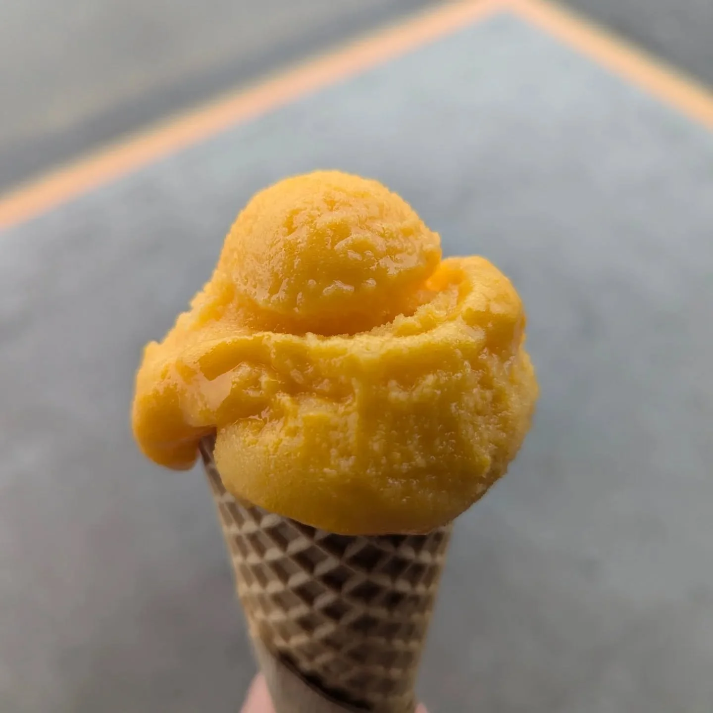 It's the simple things 💕

Have a good night everyone. Enjoy the rain.

#gelateriaartigianale #simpleisbetter #bermaguinsw