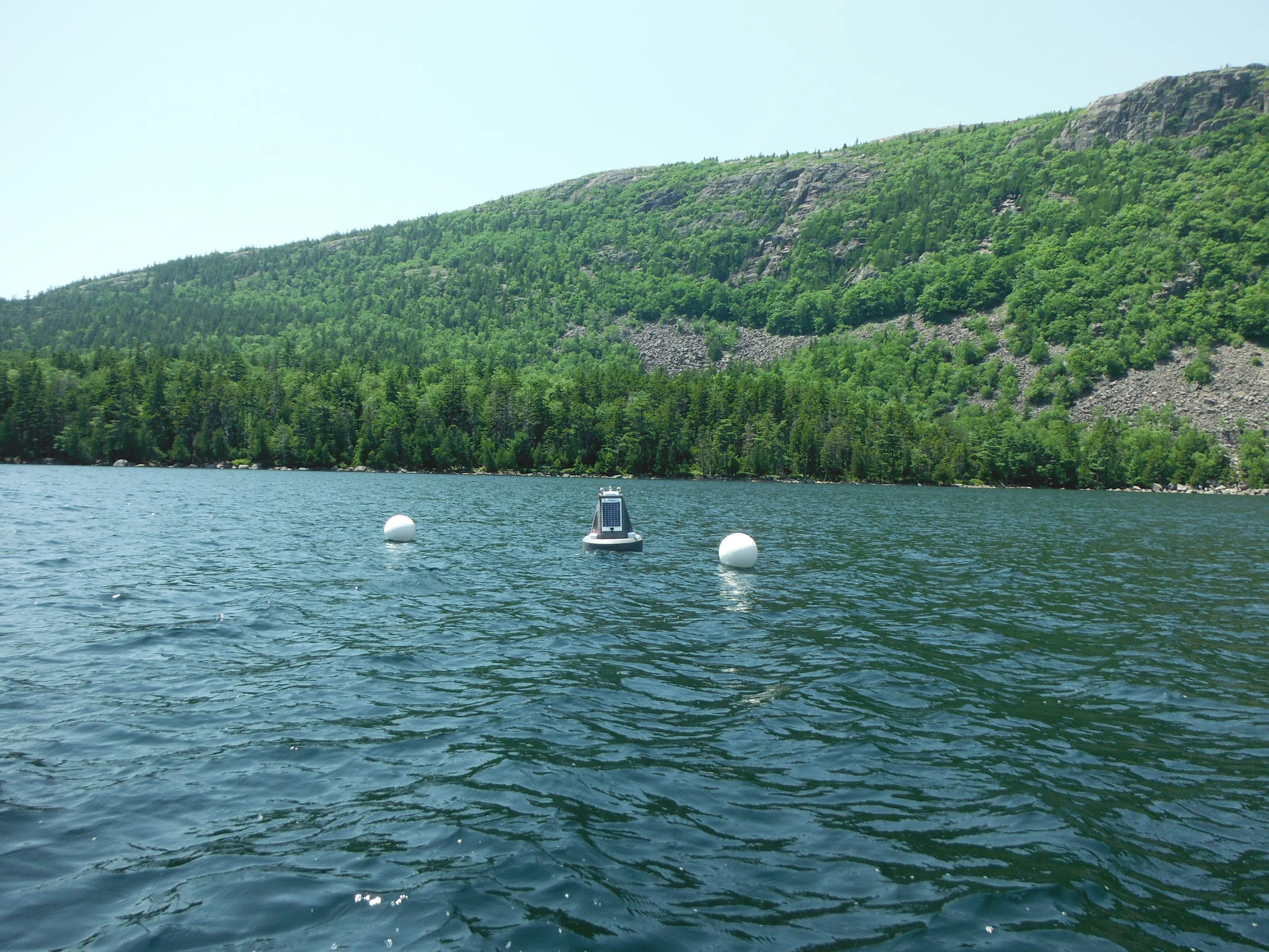 DSCF1181.JPG