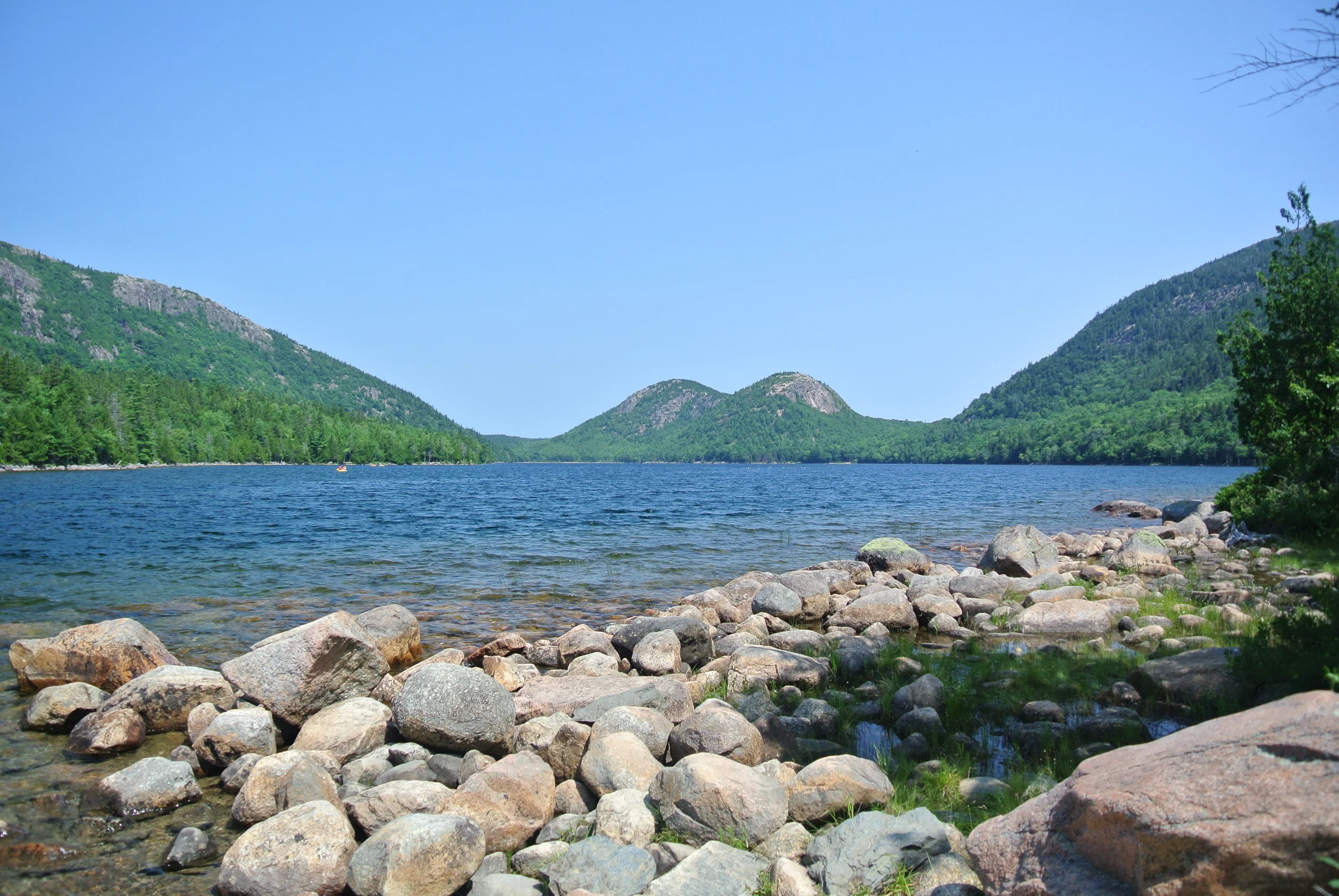 DSC_1206.JPG