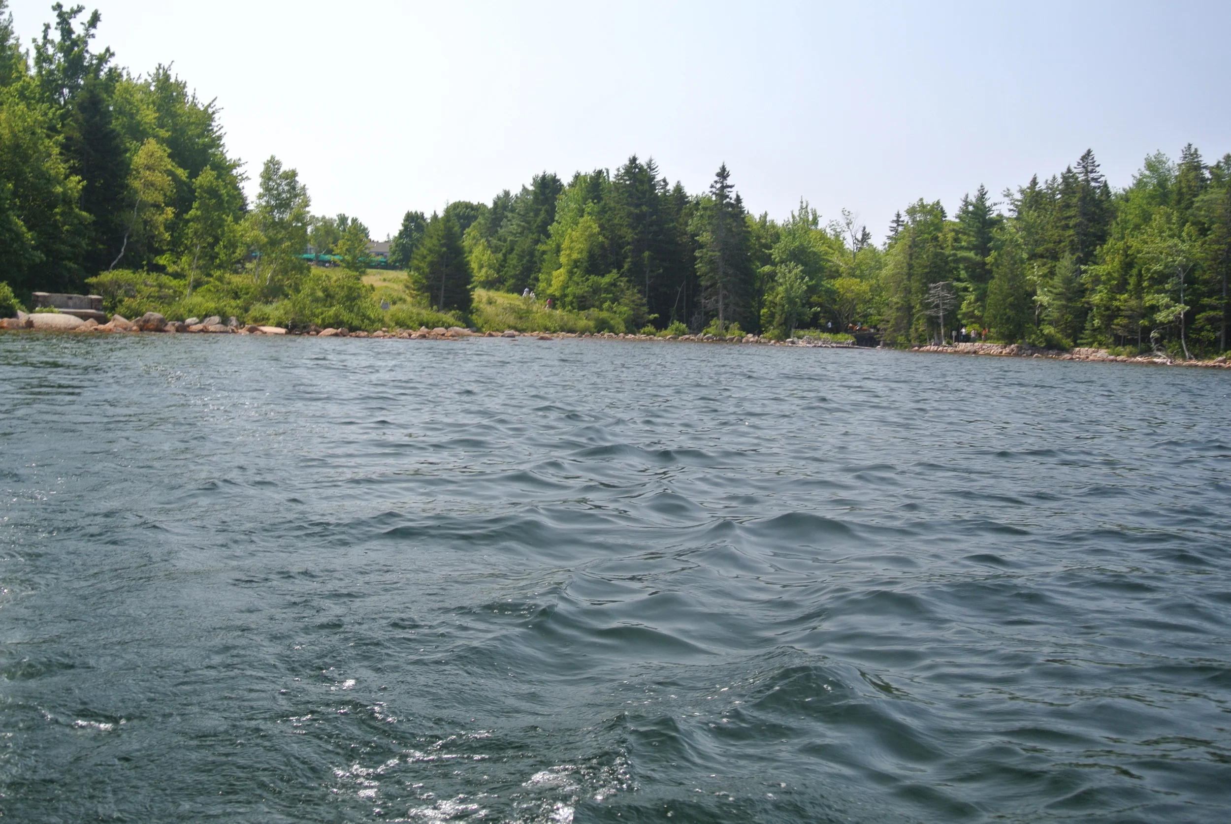 DSC_1210.JPG