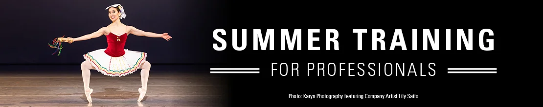 Summer-Training-Prof-Banner.jpg