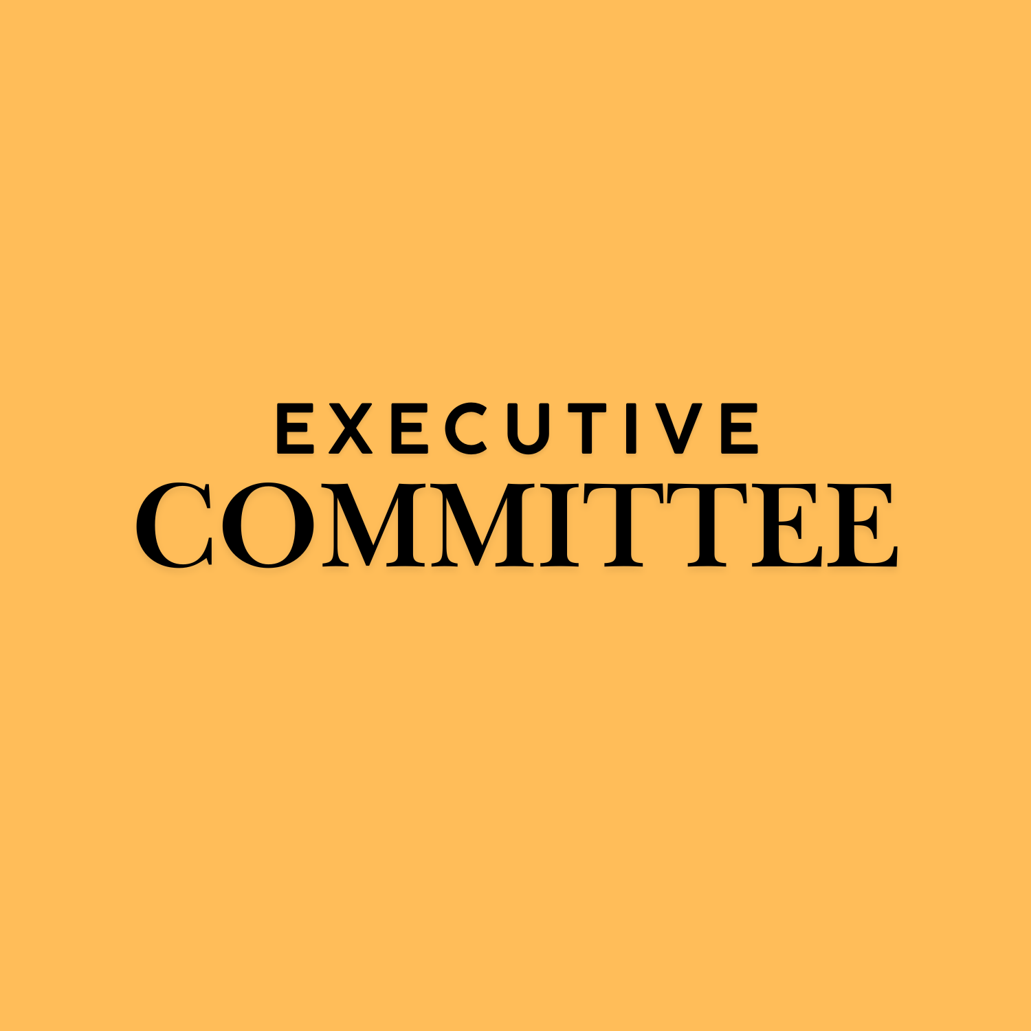 Executive Committee Meeting