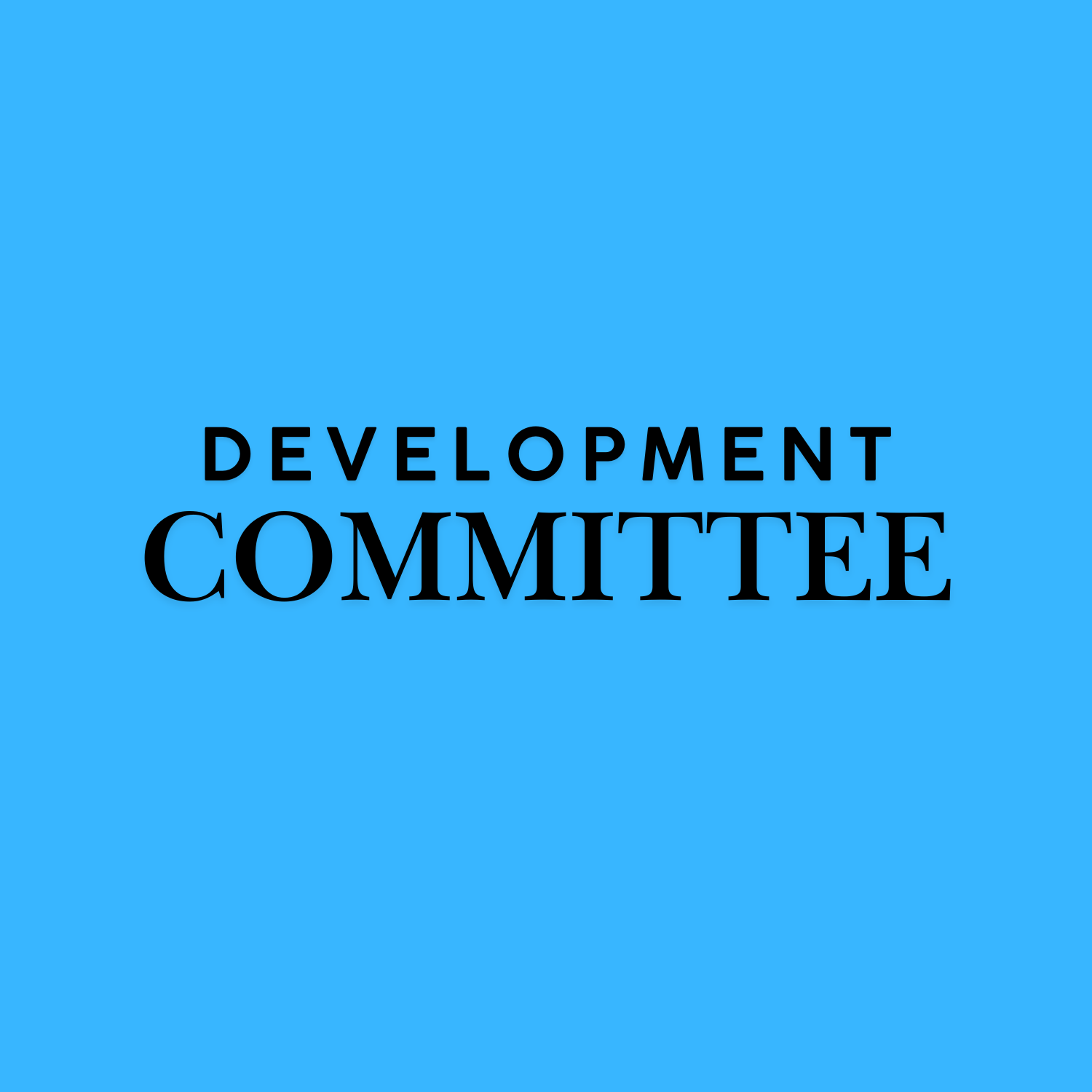 Development Committee