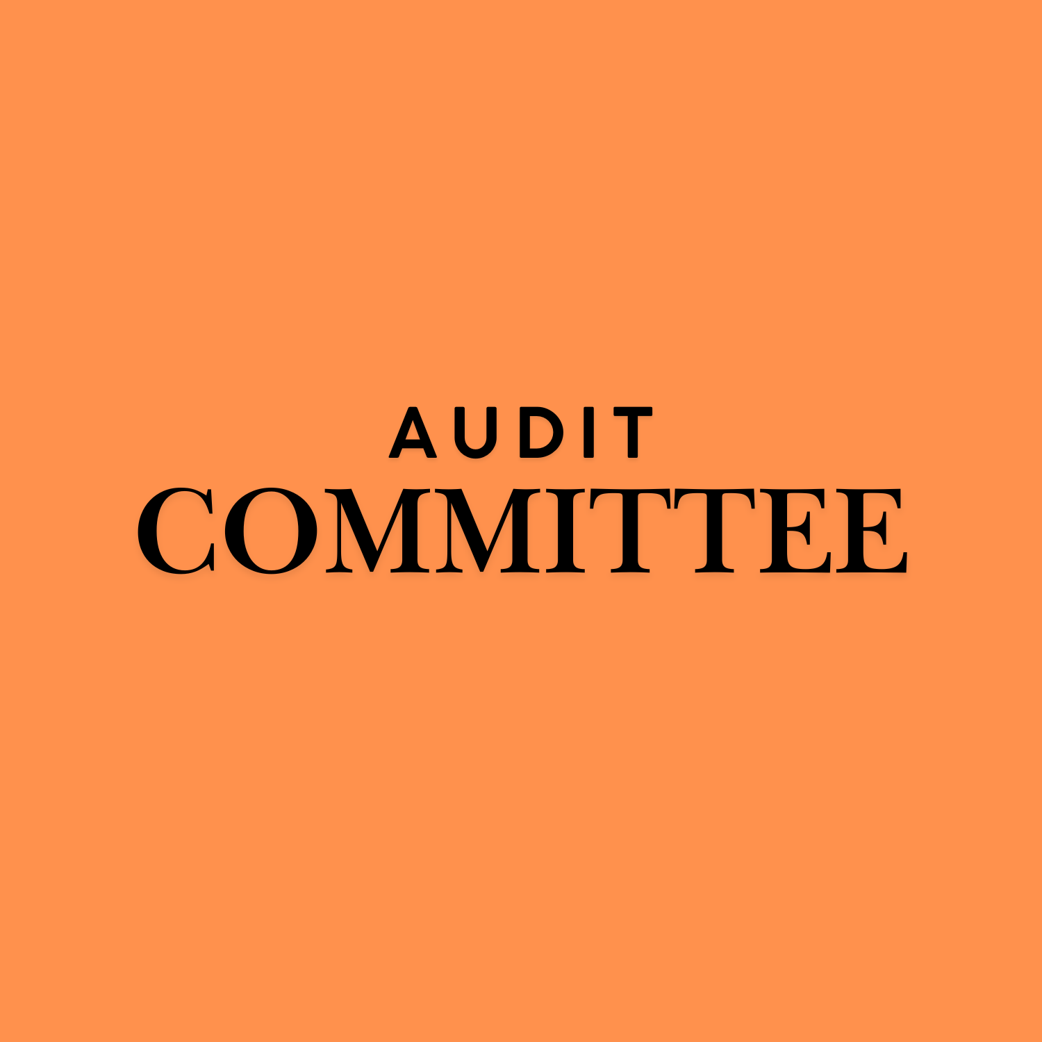 Audit Committee Meeting