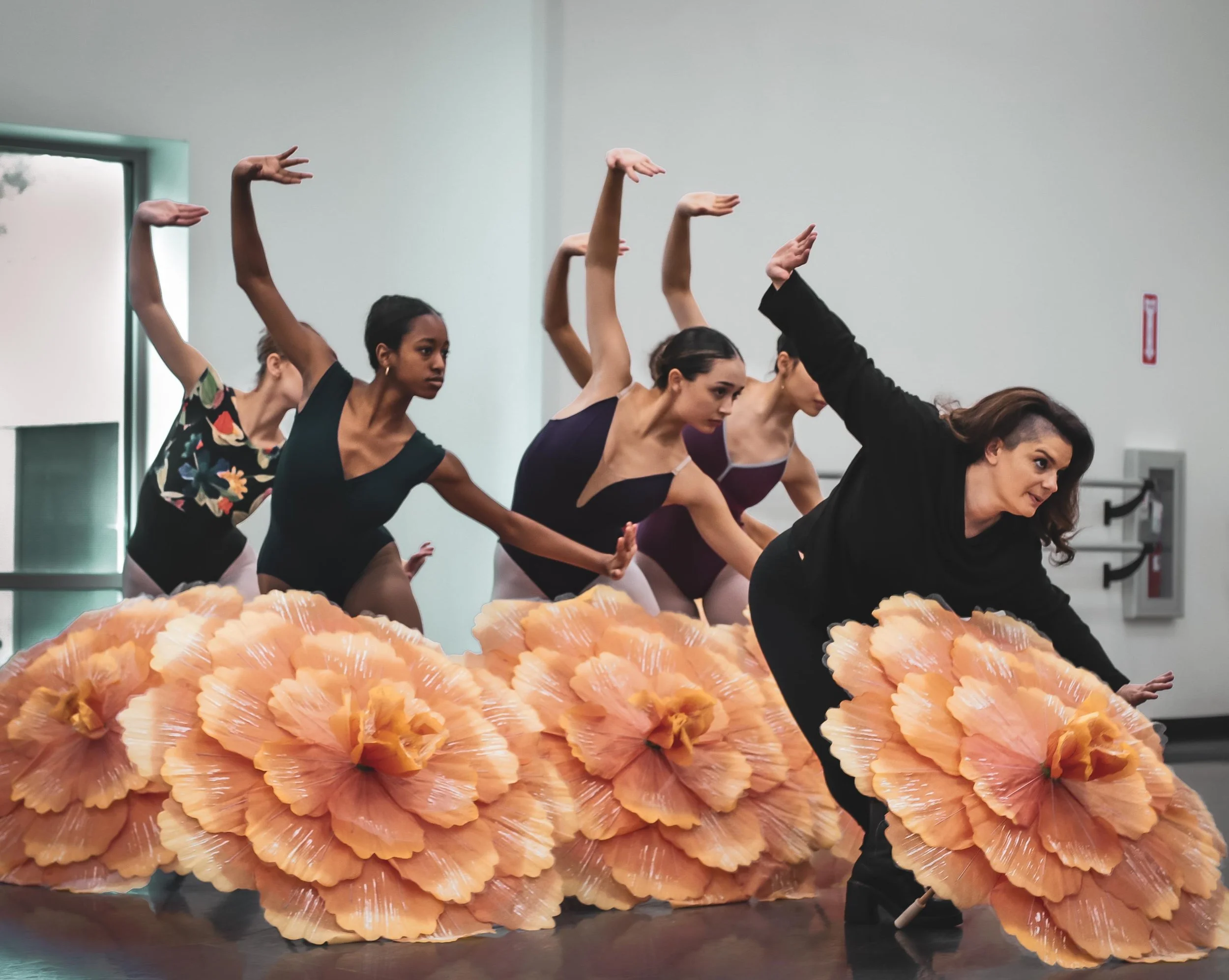 NASHVILLE BALLET ANNOUNCES NB2 LEADERSHIP TRANSITION