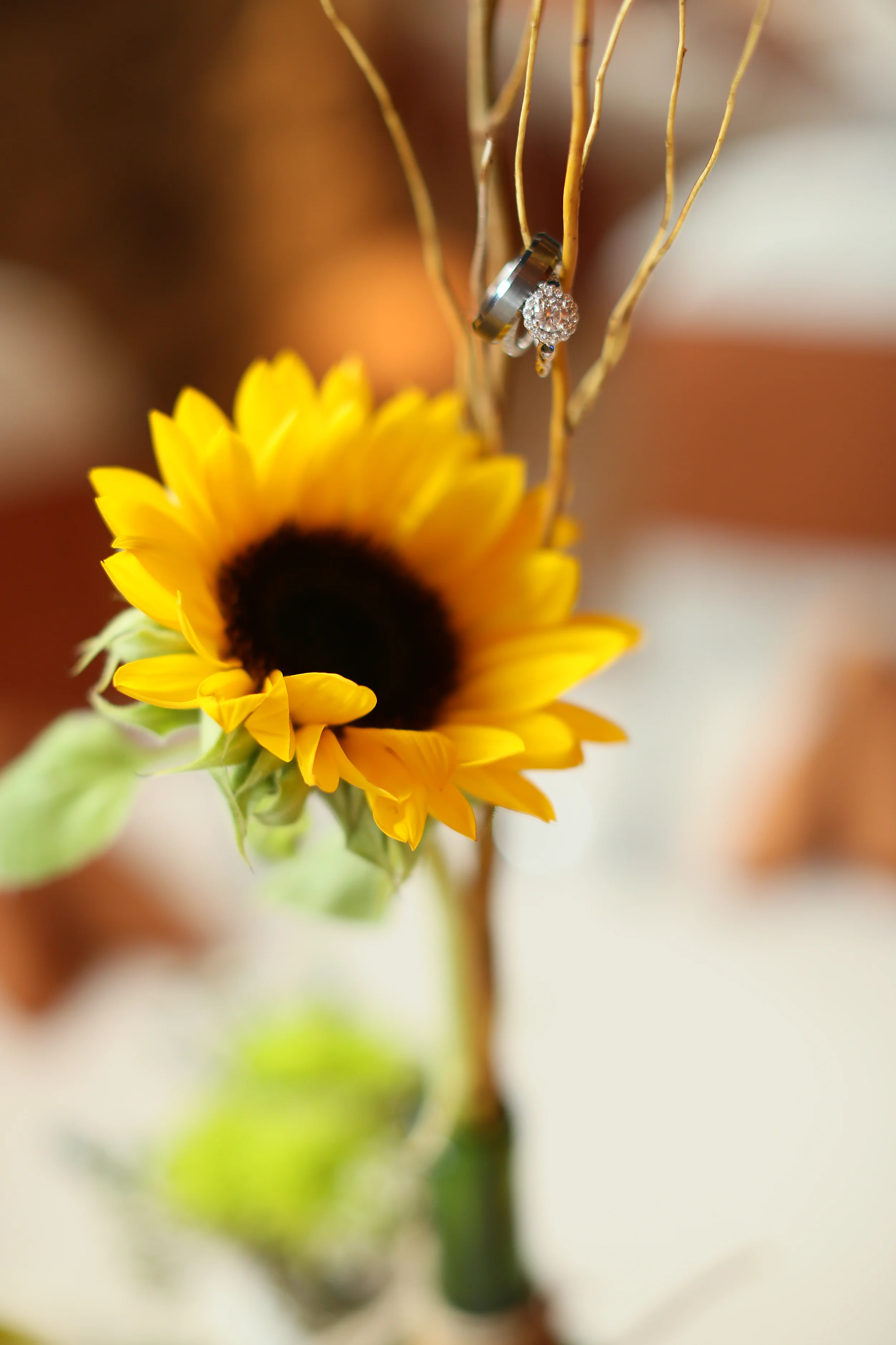 LashombWedding_100613_0046.JPG