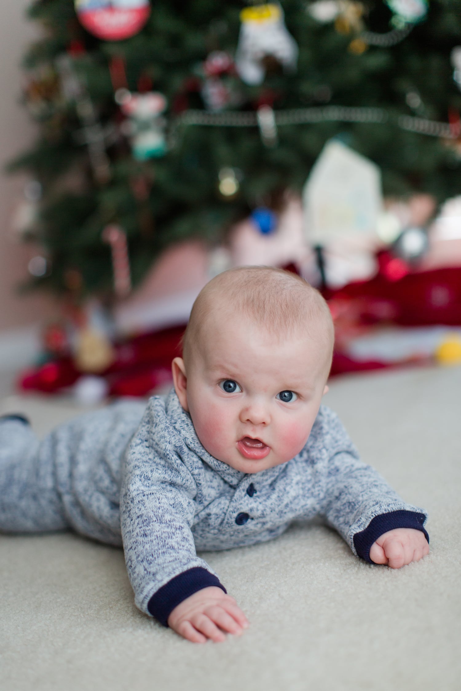 Someone is holding his head up and getting ready to be on the move!