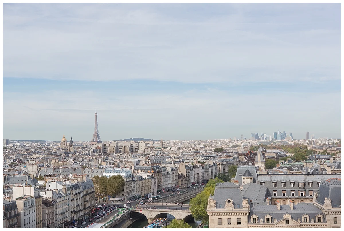 View from top of Notre Dame tower