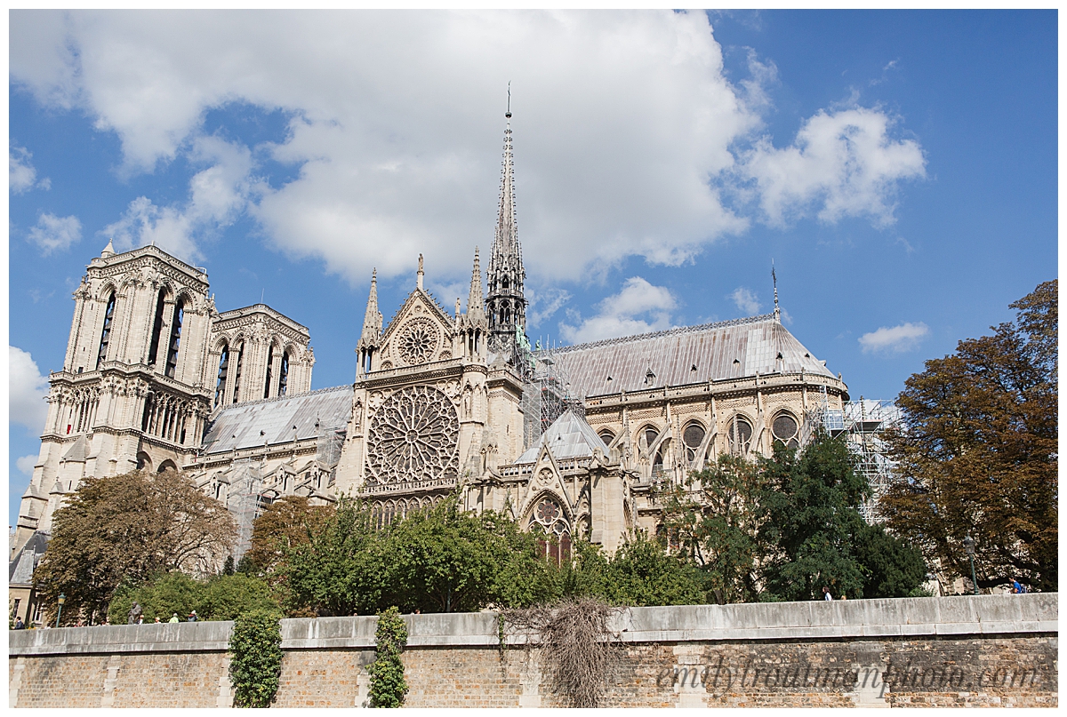 Side view of Notre Dame from down on the bank of the Siene
