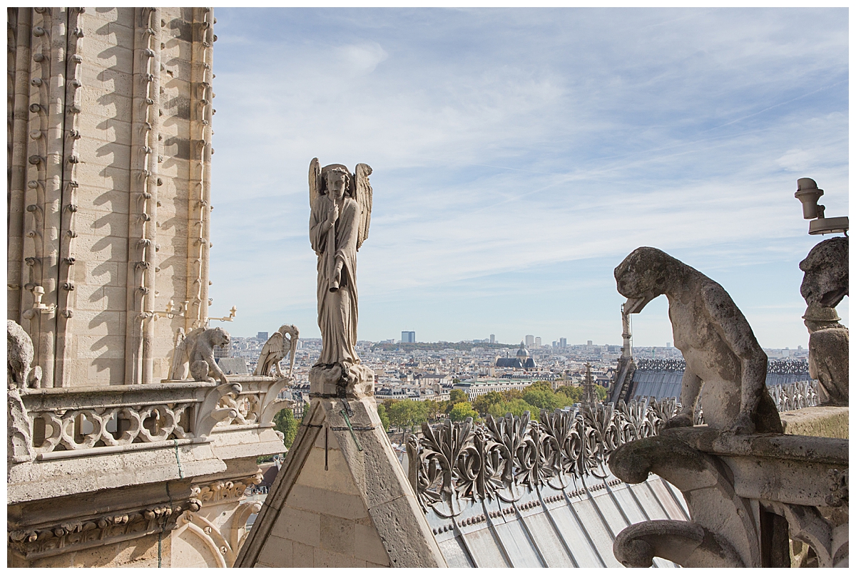 Some of the famed gargoyles and statues