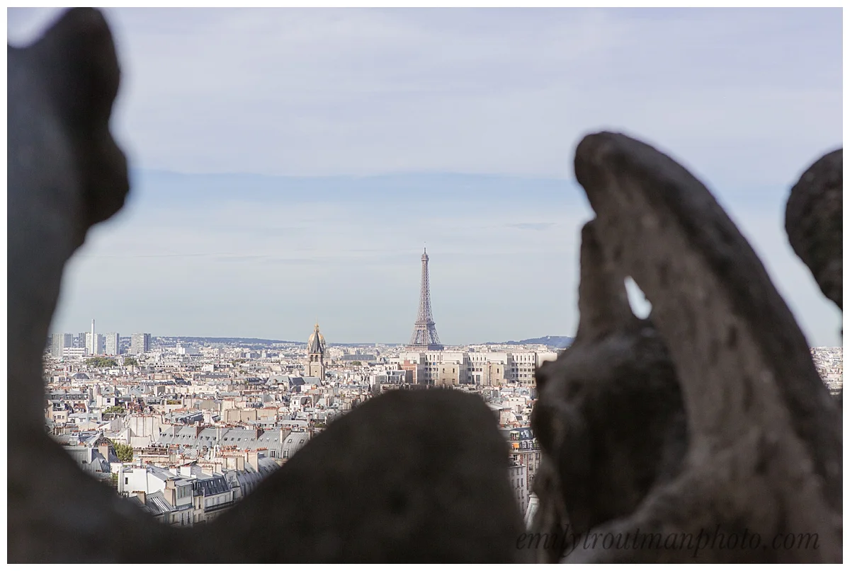 A gargoyle’s view of Paris