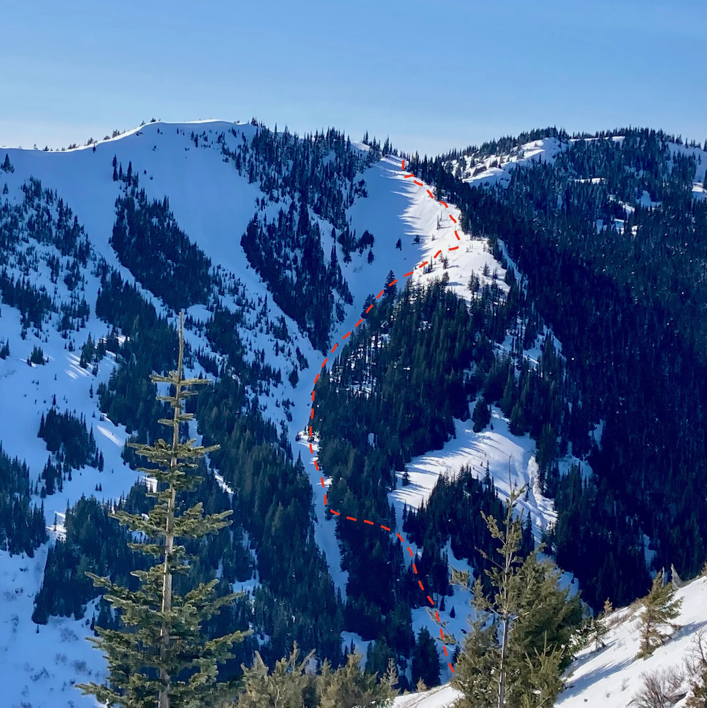 Fun Tour Episode 2: Hurricane Ridge — Simmons Mountain Works