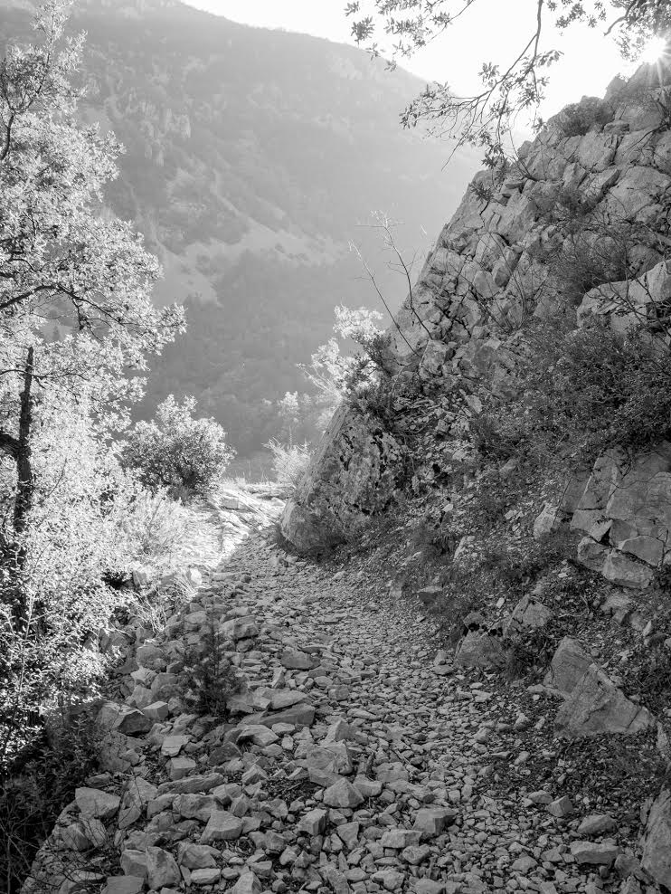 photo by François Brahic