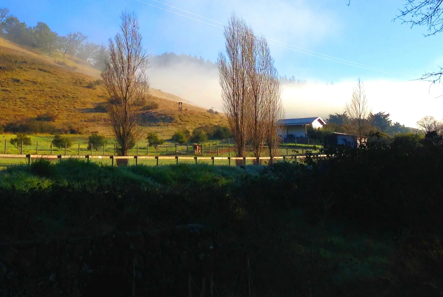 JDRV-IN-FOG.jpg