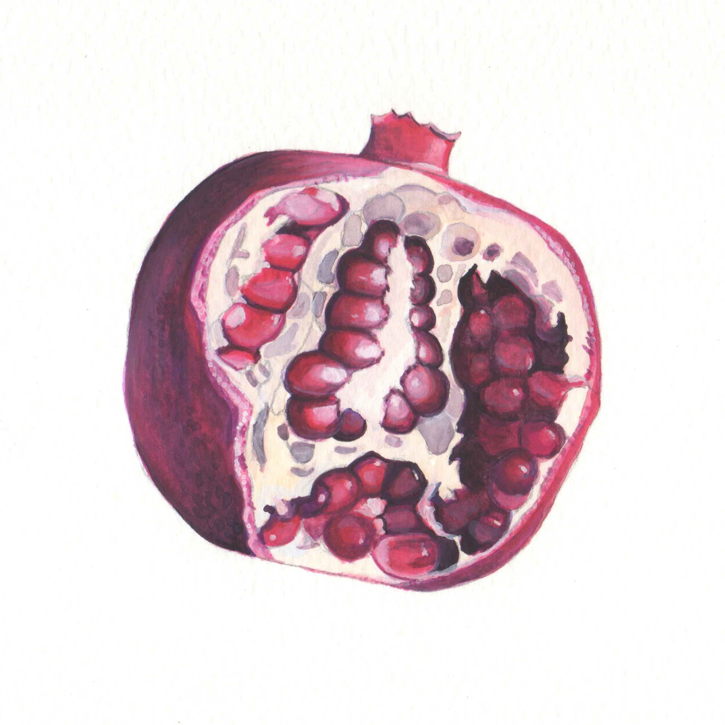 Pomegranate Study