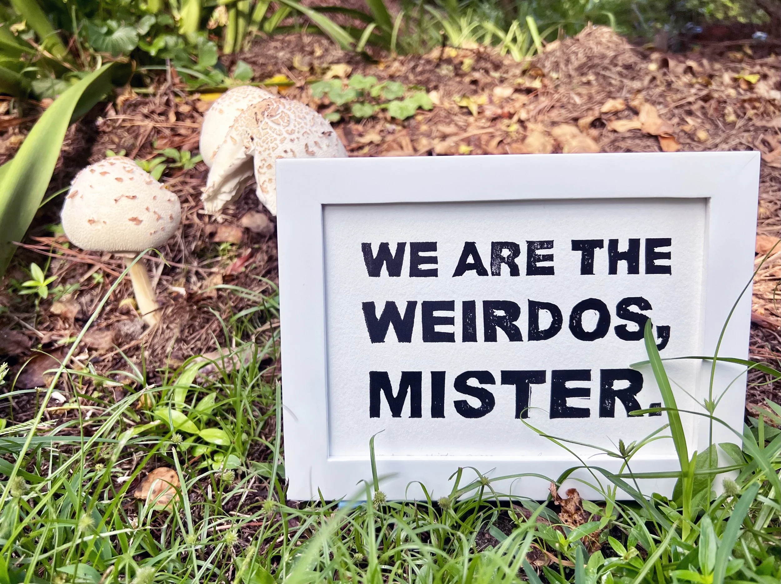 wearetheweirdos.jpg