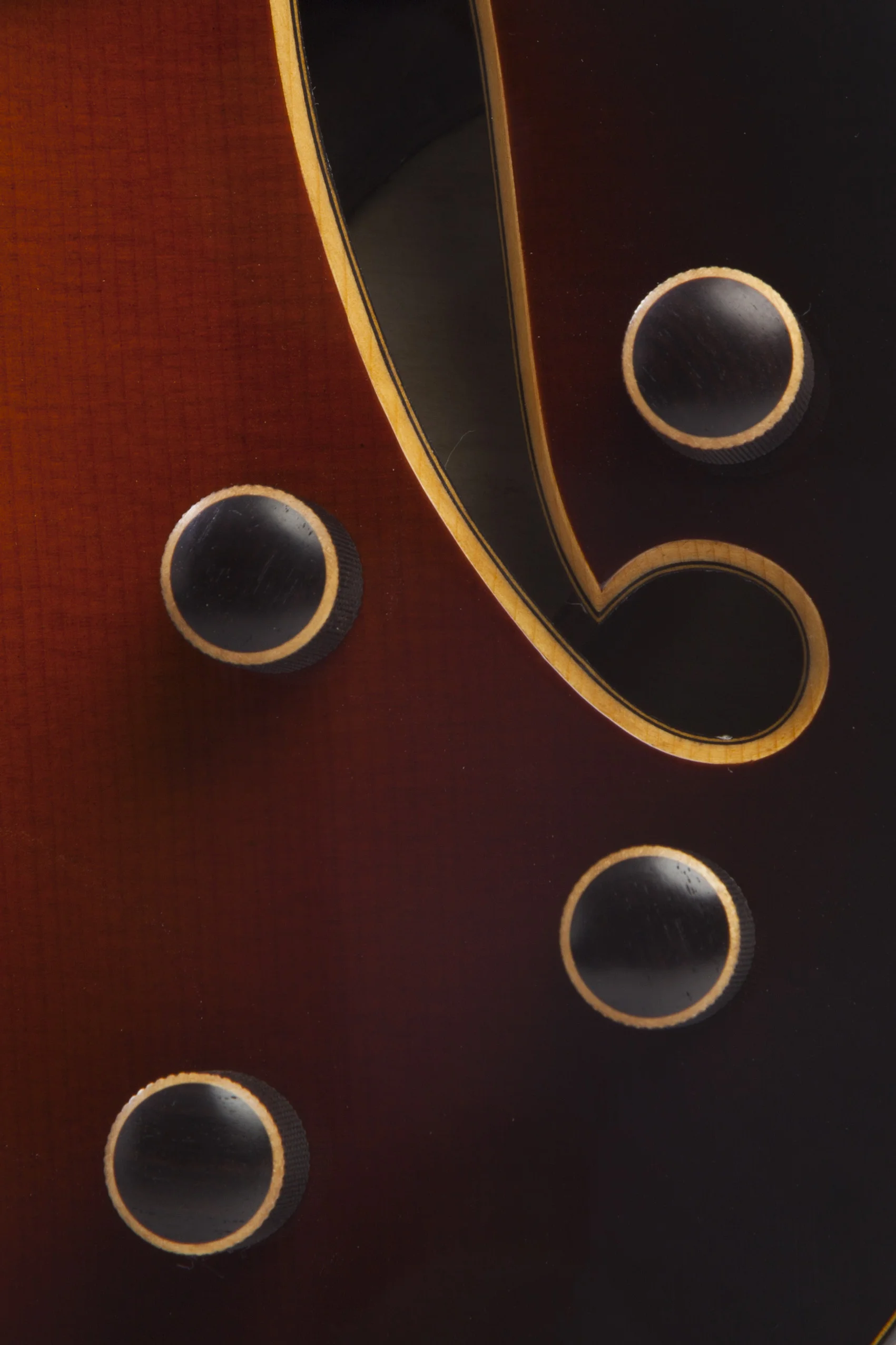 Double f hole electric 05.jpg