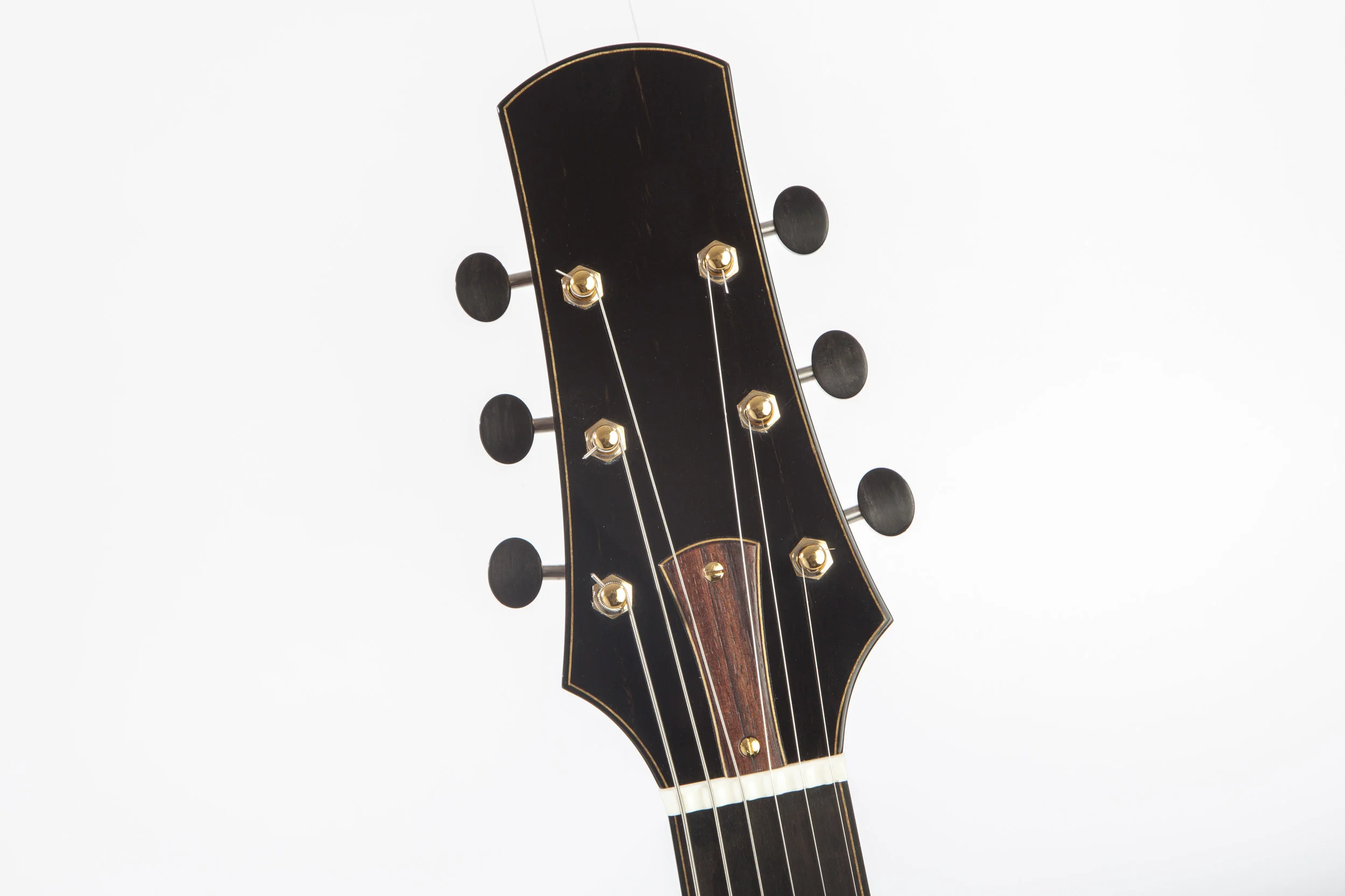 Double f hole electric 15.jpg