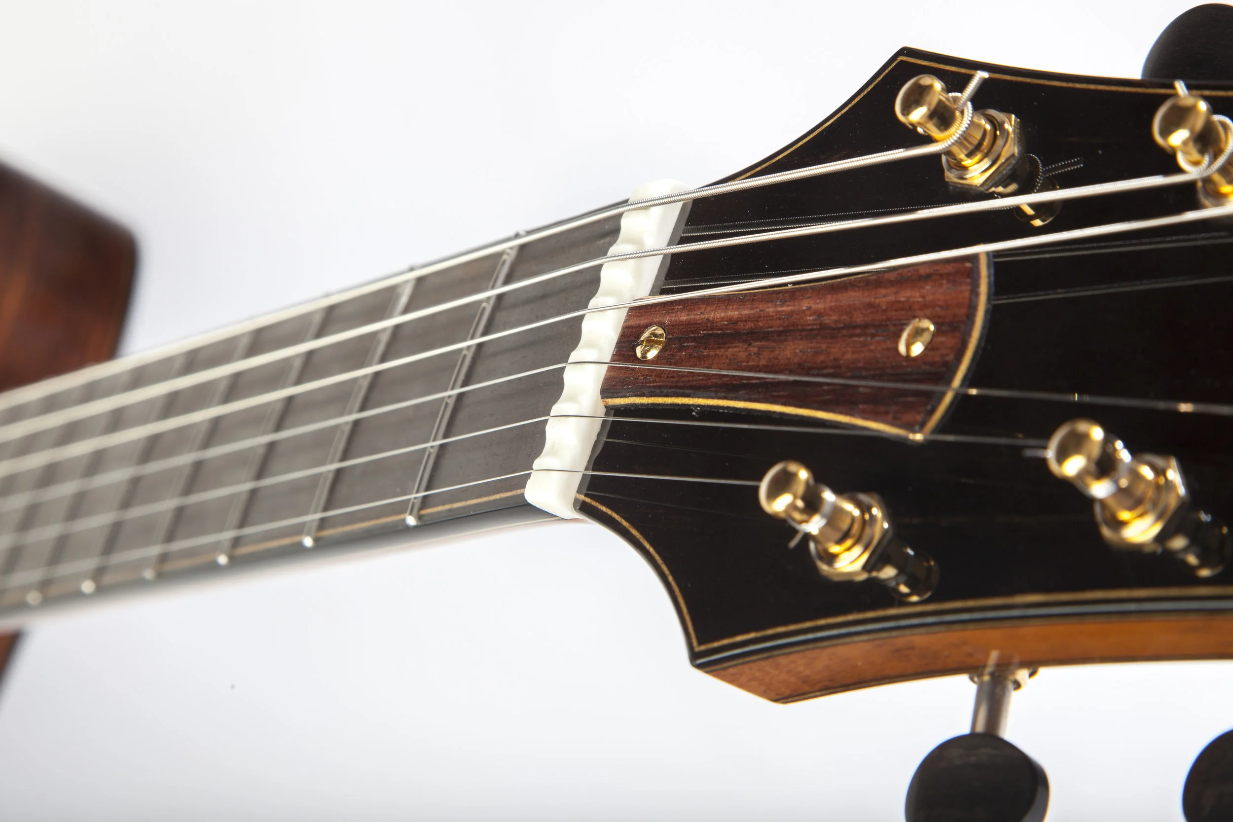 Double f hole electric 14.jpg