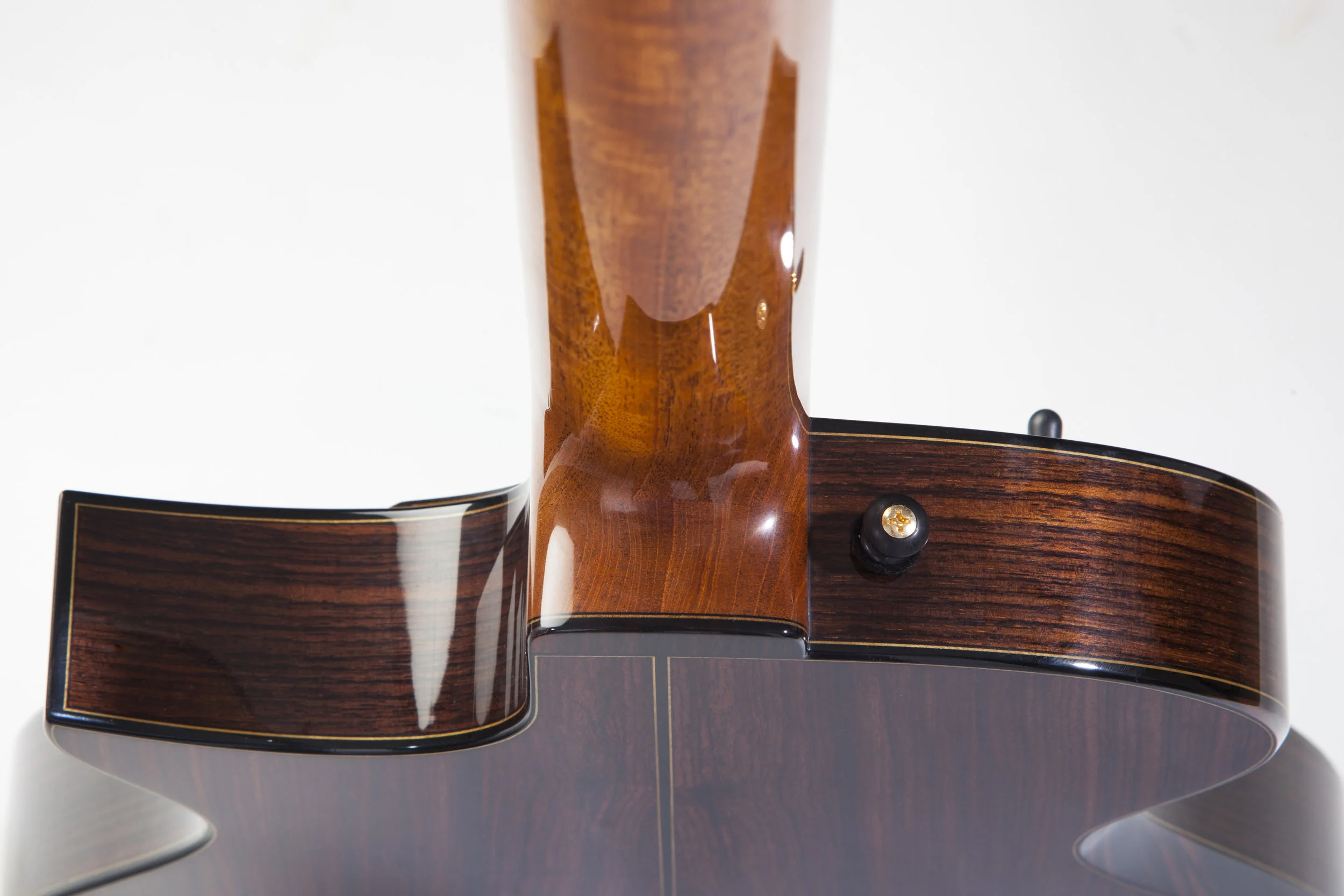 Double f hole electric 08.jpg