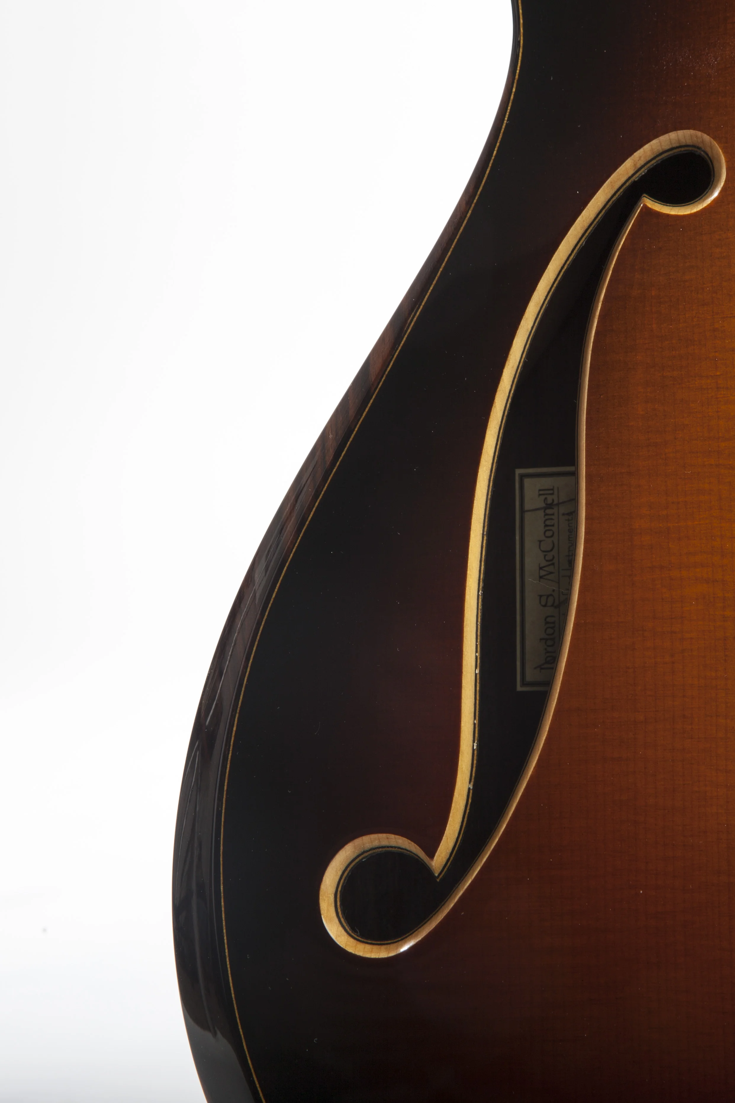 Double f hole electric 04.jpg