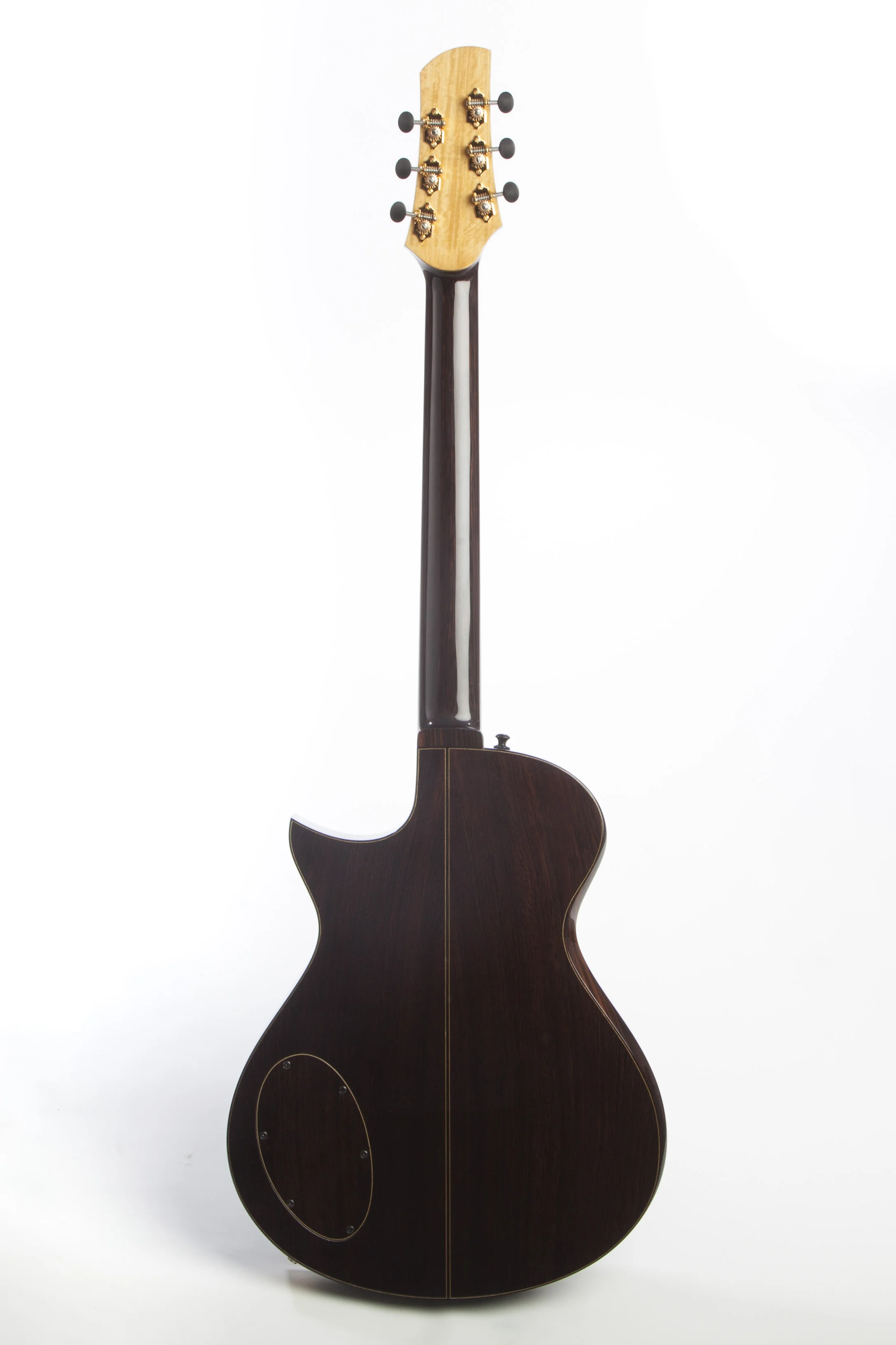 Fan fret electric 01.jpg