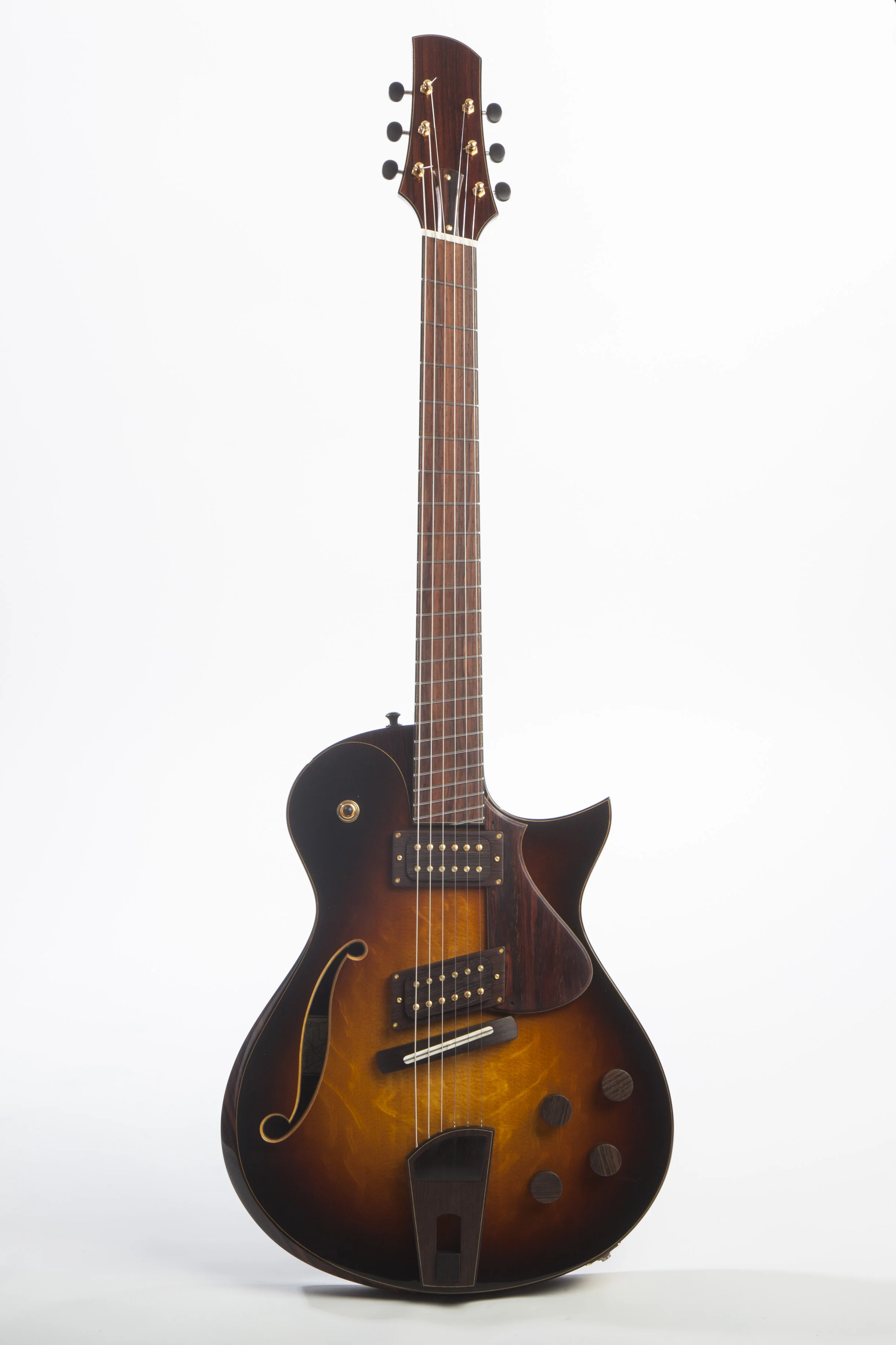 Fan fret electric 02.jpg