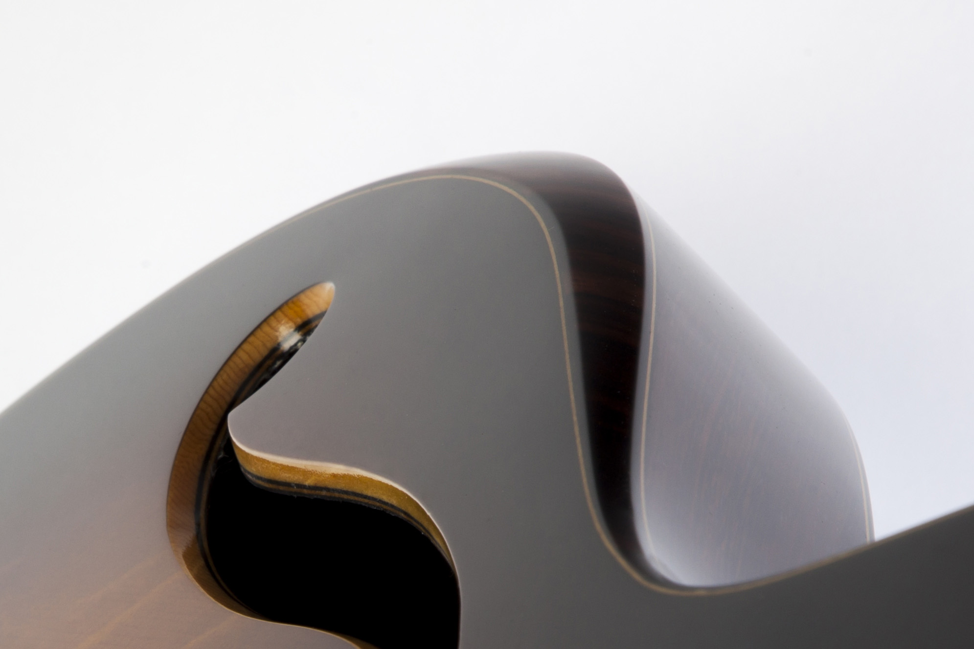 Fan fret electric 05.jpg