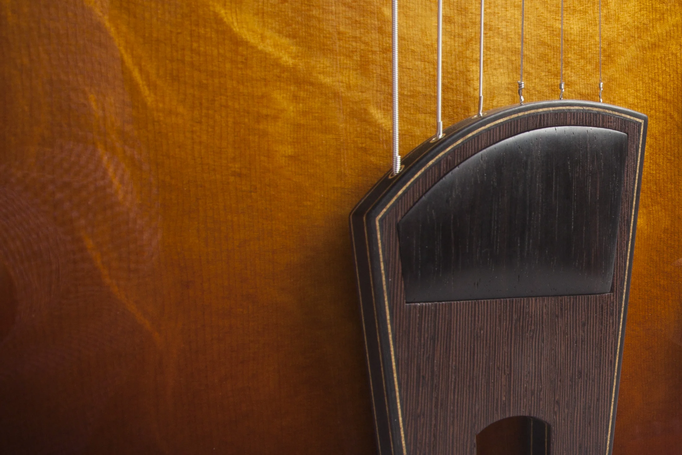Fan fret electric 08.jpg