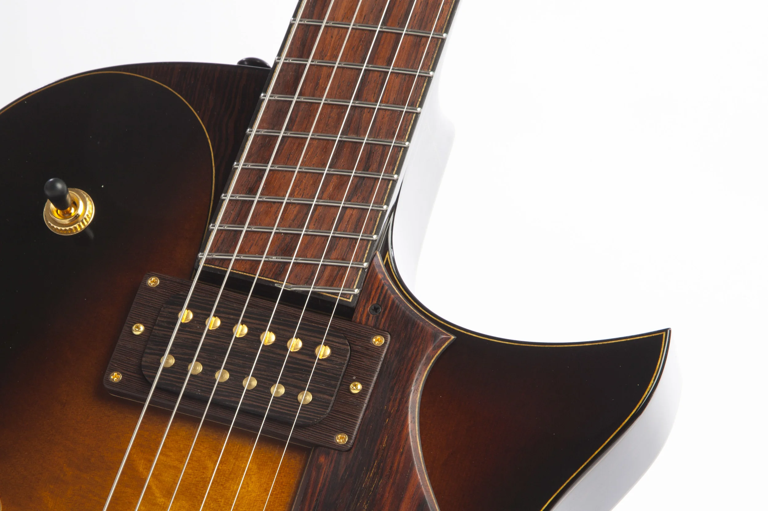 Fan fret electric 16.jpg