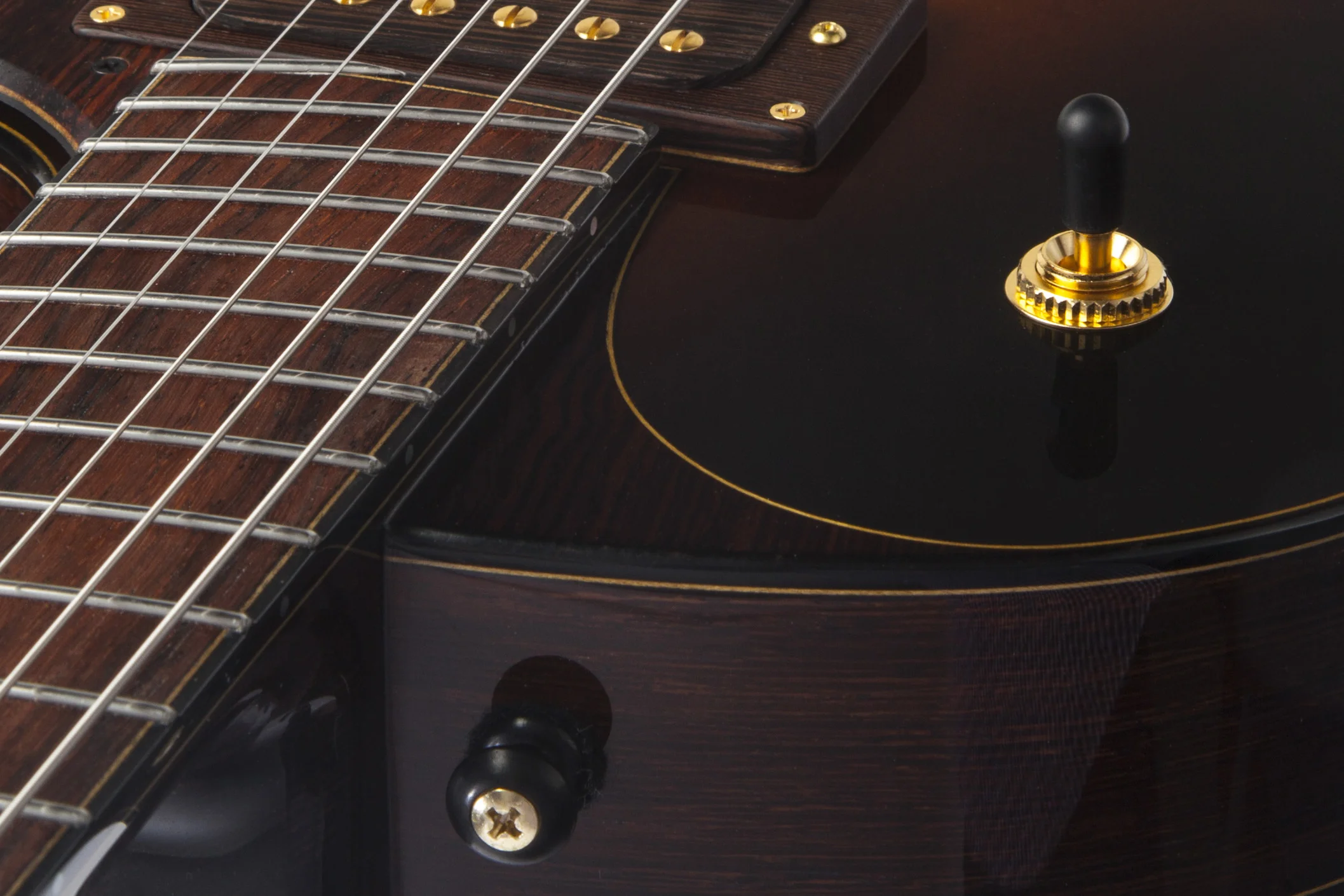 Fan fret electric 21.jpg