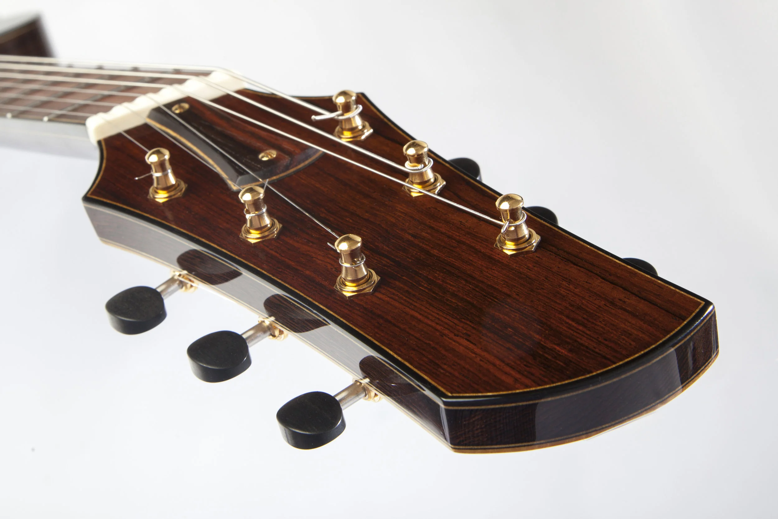 Fan fret electric 20.jpg