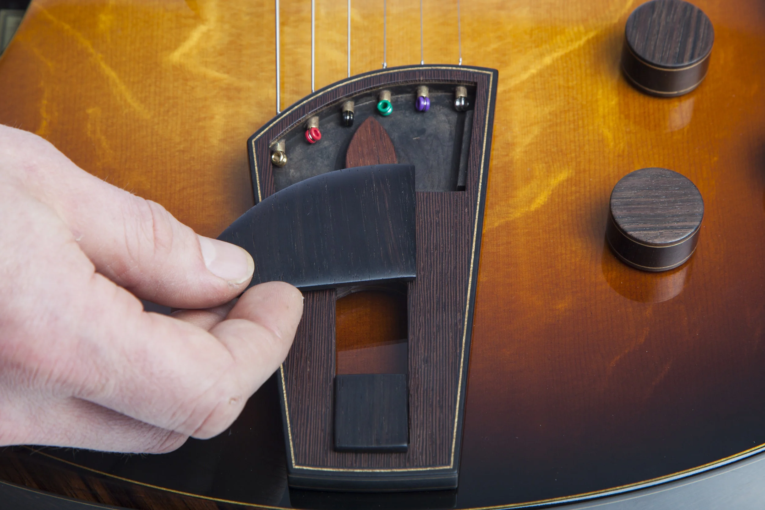 Fan fret electric 22.jpg