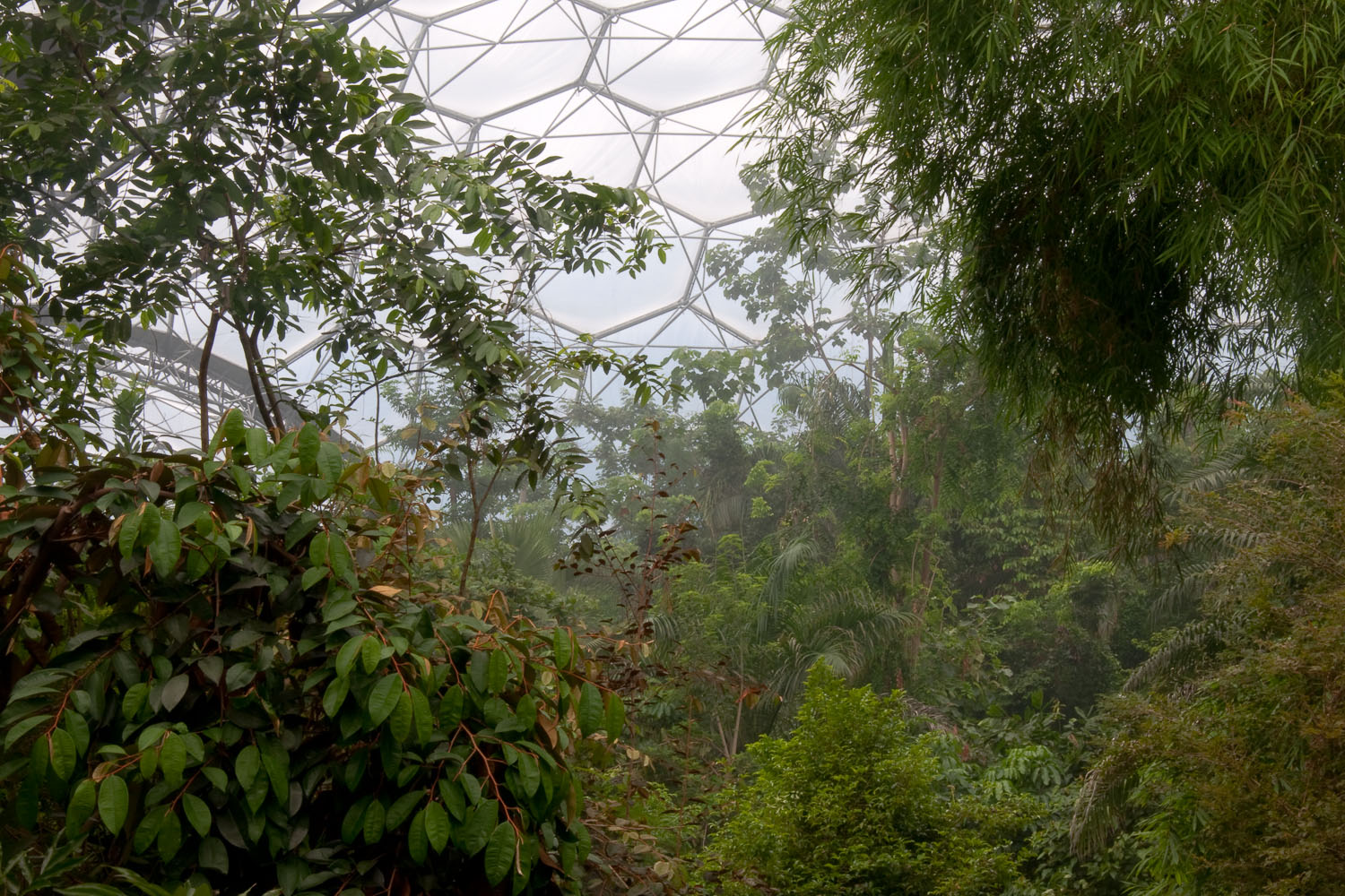 Humid Tropics, Eden Project
