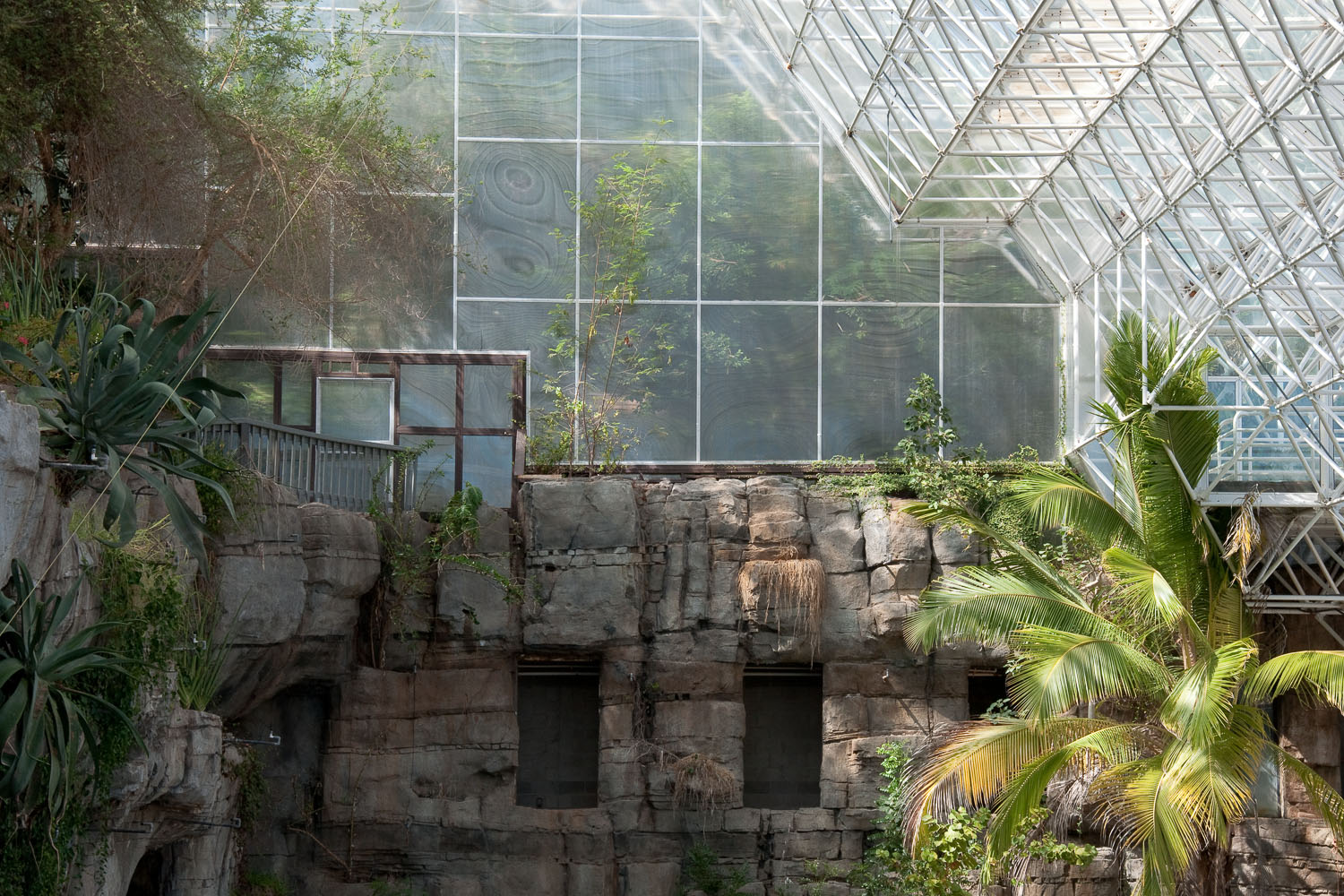 Ocean Cliff, Biosphere 2