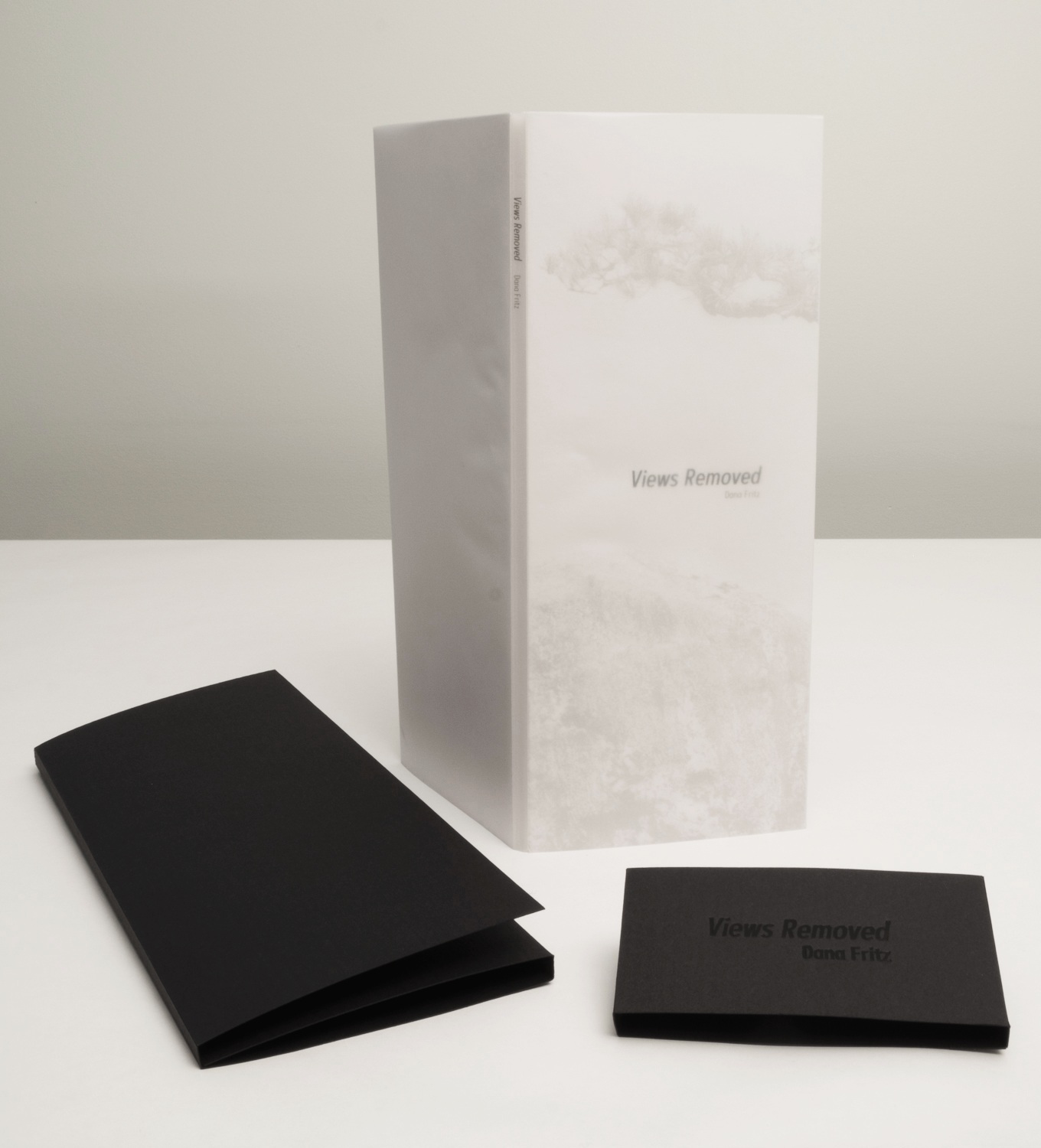 Dana+Fritz.Views+Removed+accordion+book+outer+stamped+cover+and+inner+vellum+cover.jpg