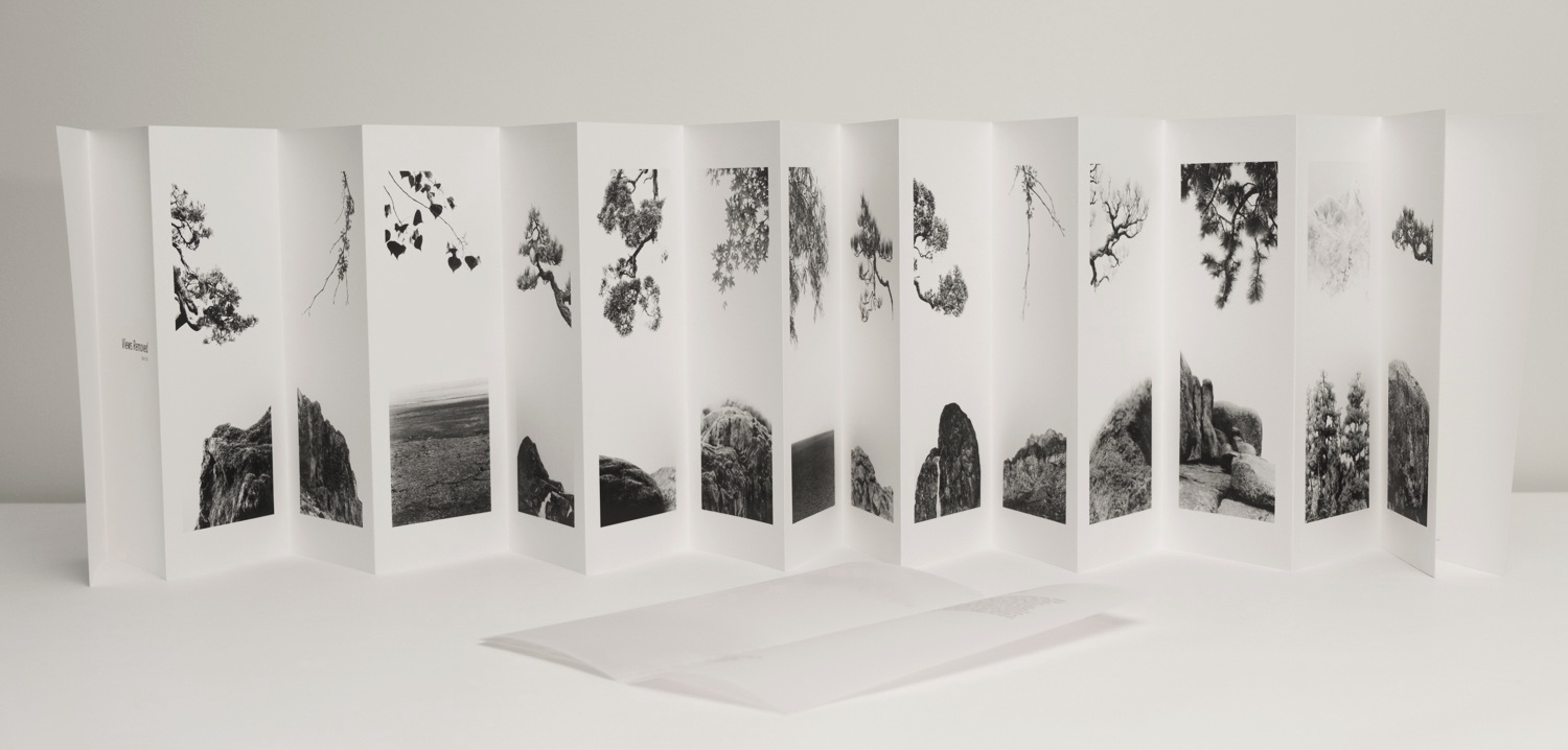 Signed, limited edition, hand bound accordion book with embossed outer cover, vellum inner cover, 14 images, title page, colophon and short text describing the work. This self-published artist's book bound by Datz Press brings the vertical images from Views Removed into an accordion format reminiscent of Japanese folding screens.