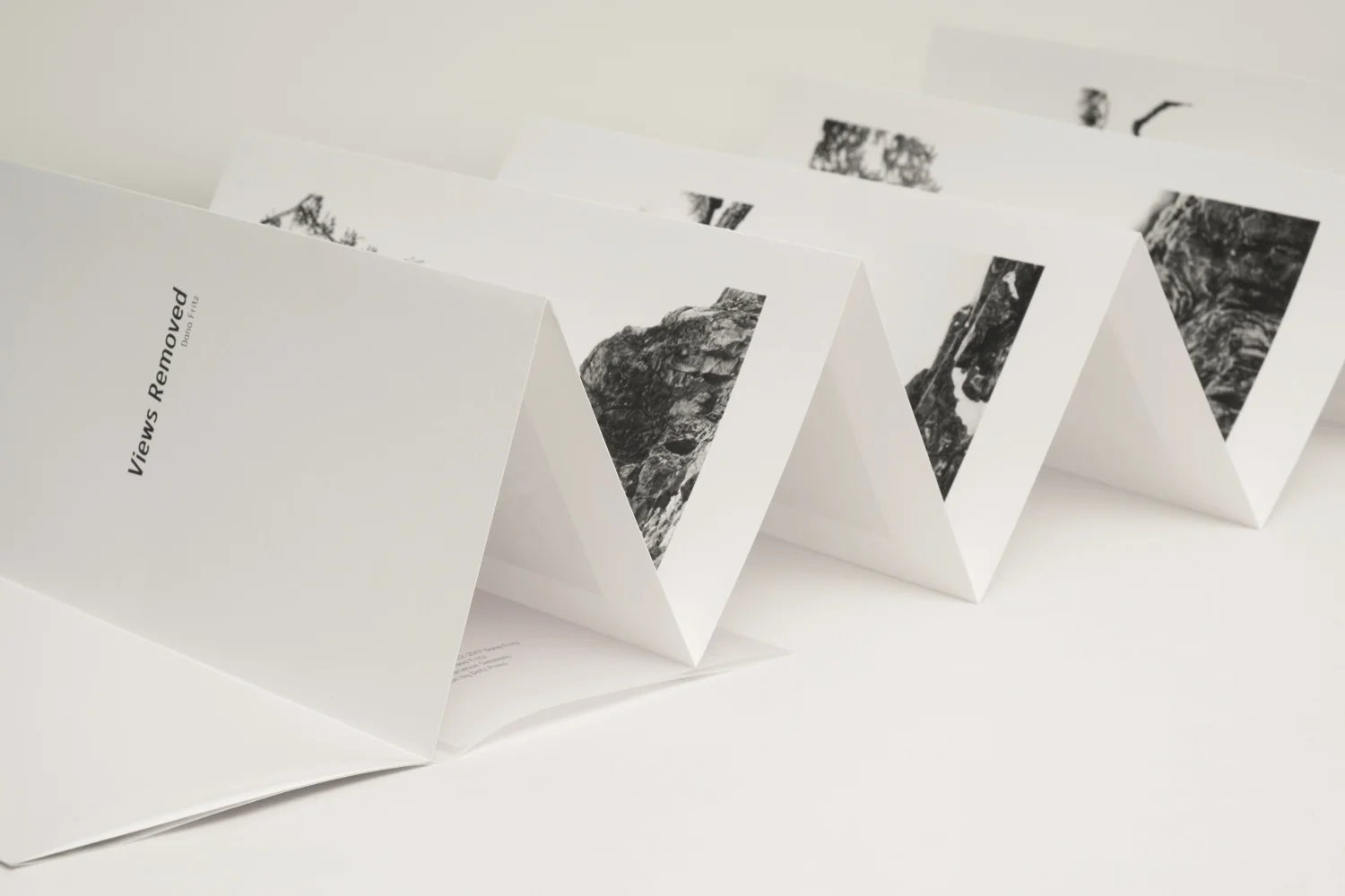 Dana+Fritz.Views+Removed+accordion+book+detail.jpg