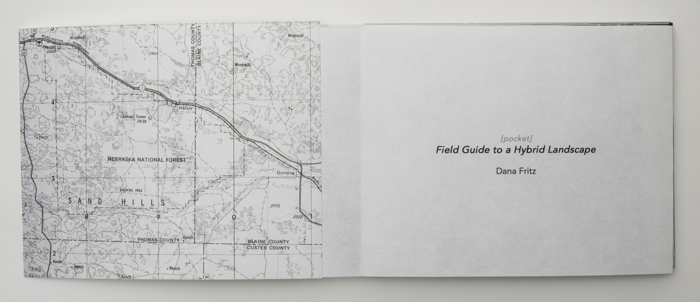 Fritz_Pocket Field Guide to a Hybrid Landscape 2 .jpg