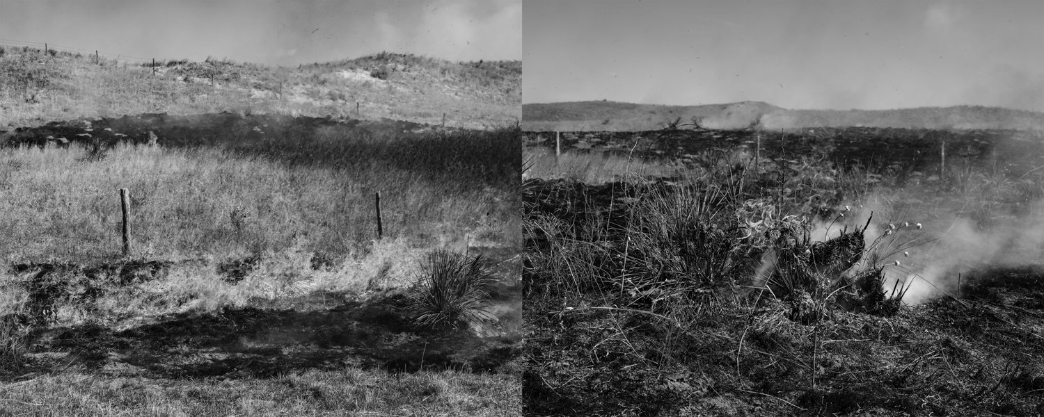 Signal Hill Prescribed Burn Detail | Smoldering Yucca