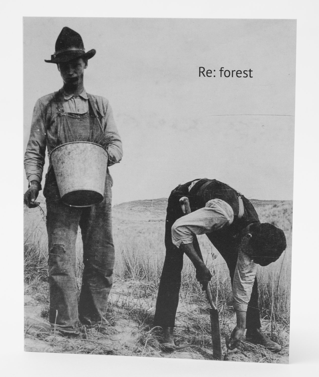 ReForest cover front.jpg