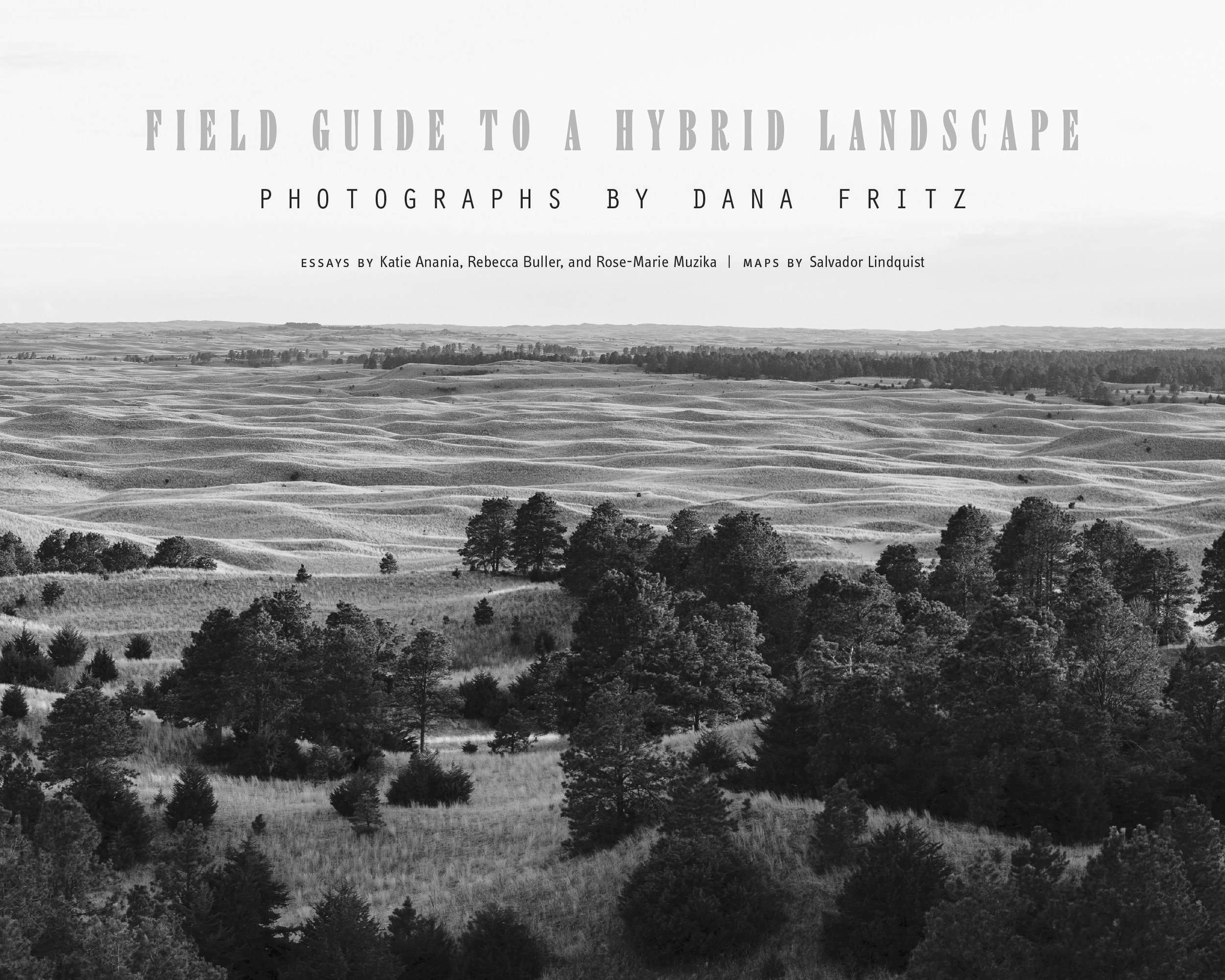 Field Guide to a Hybrid Landscape