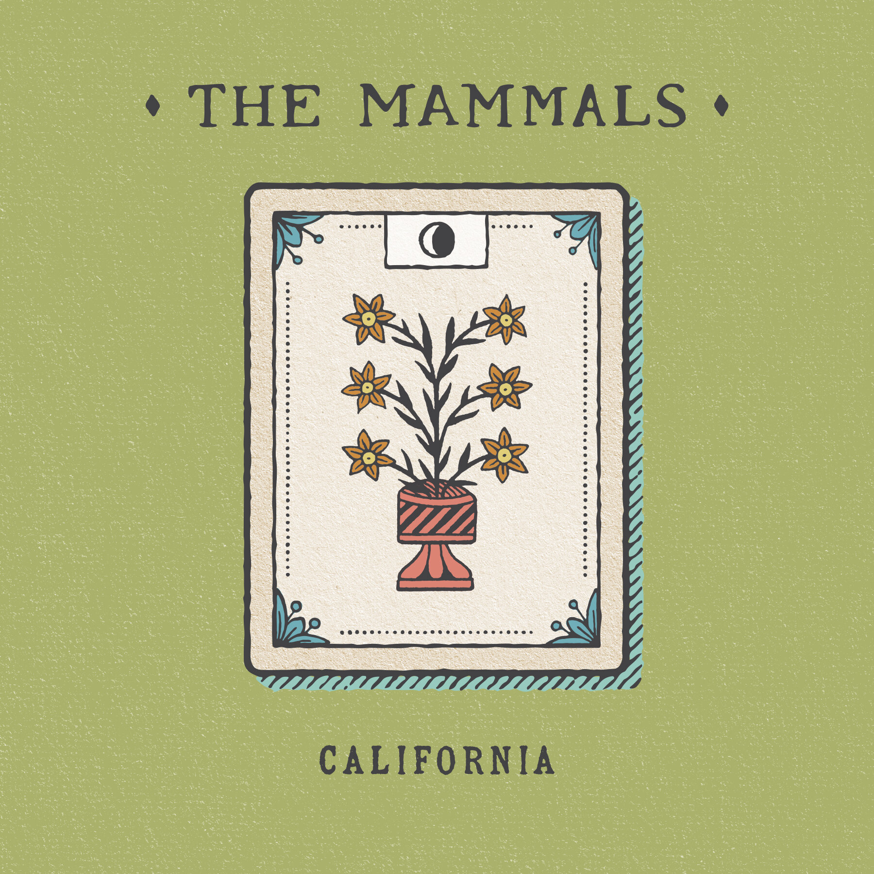 Mammals_06_California.jpg