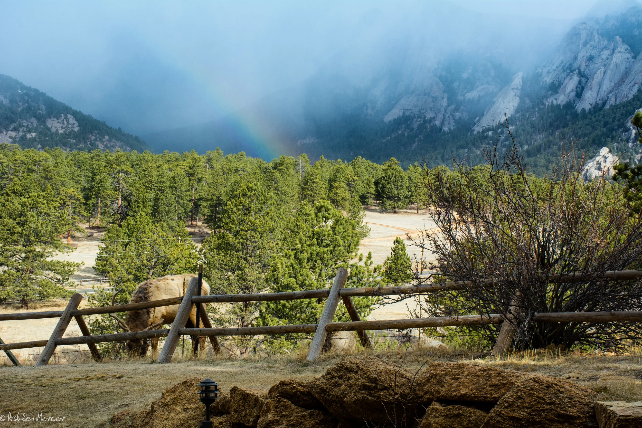 co wedding-11.jpg