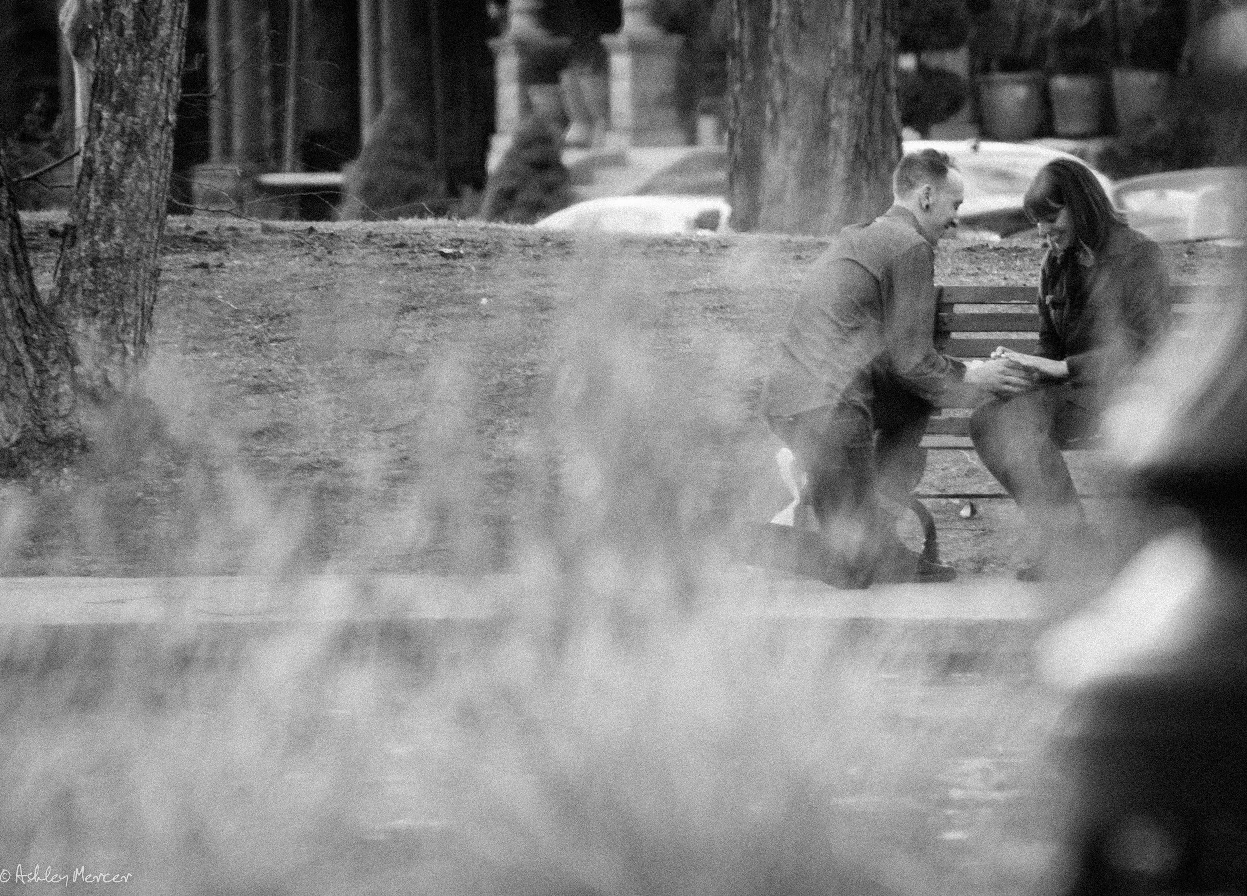 Pattadona Proposal-11.jpg