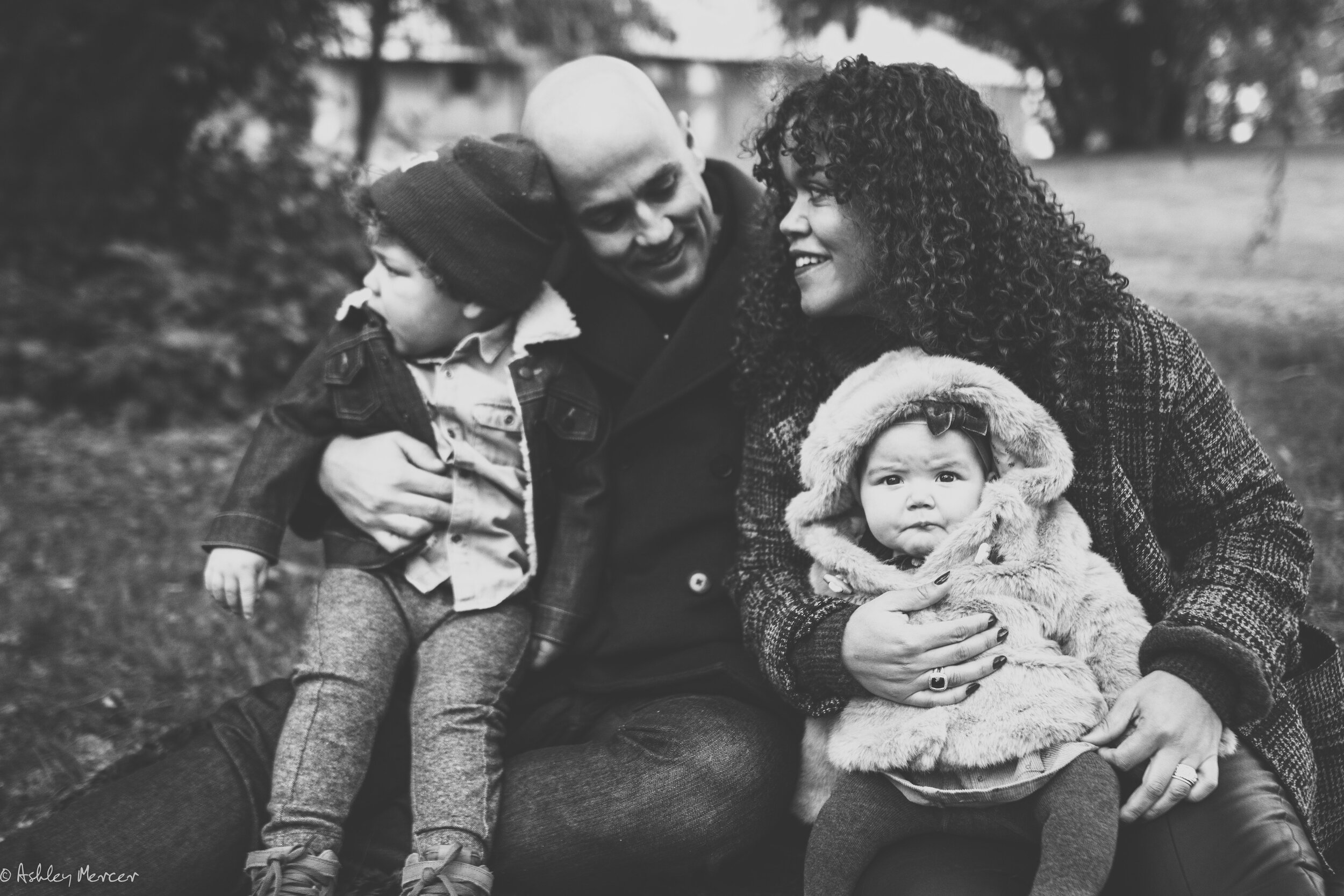 Miesse Family fall 2018-9.jpg
