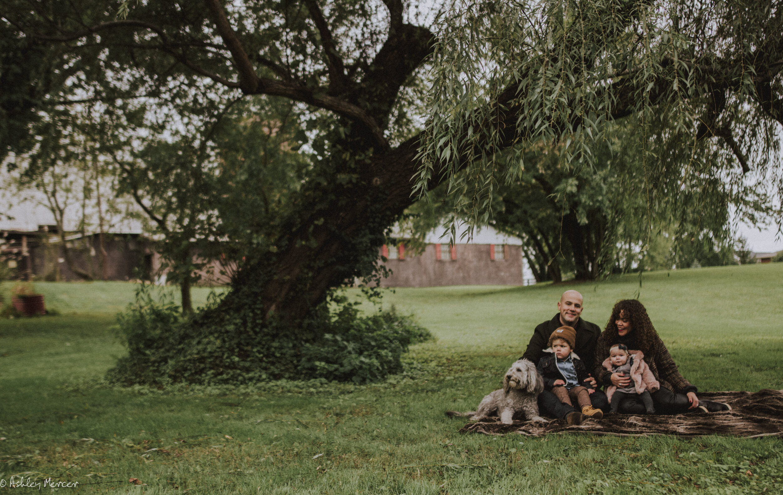 Miesse Family fall 2018-20.jpg
