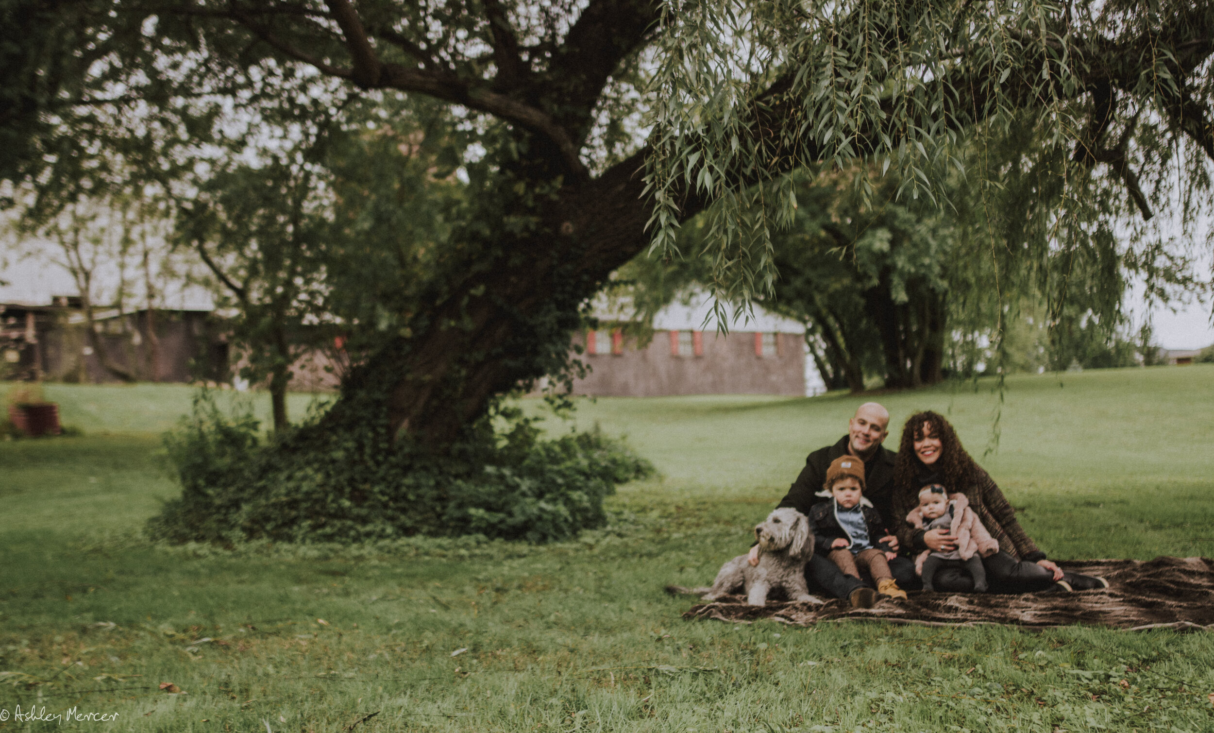 Miesse Family fall 2018-21.jpg
