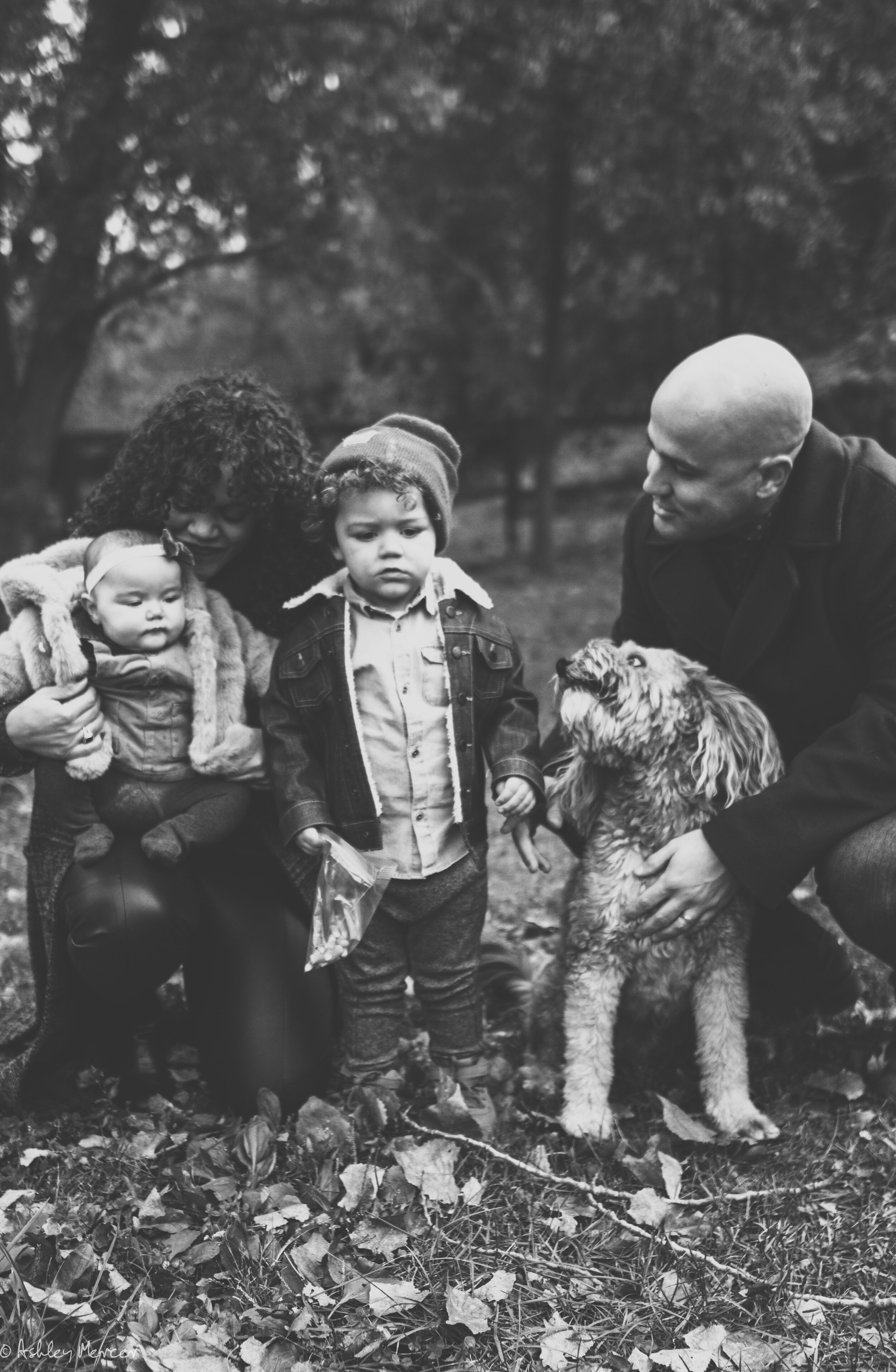 Miesse Family fall 2018-33.jpg