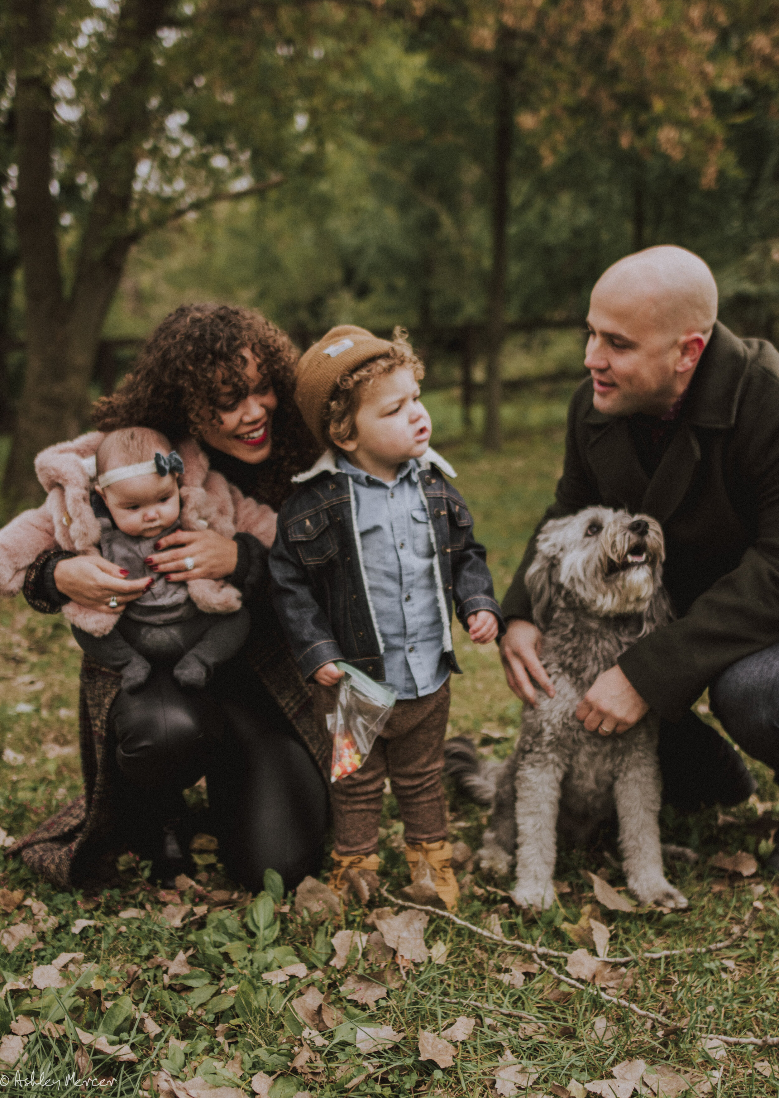 Miesse Family fall 2018-34.jpg